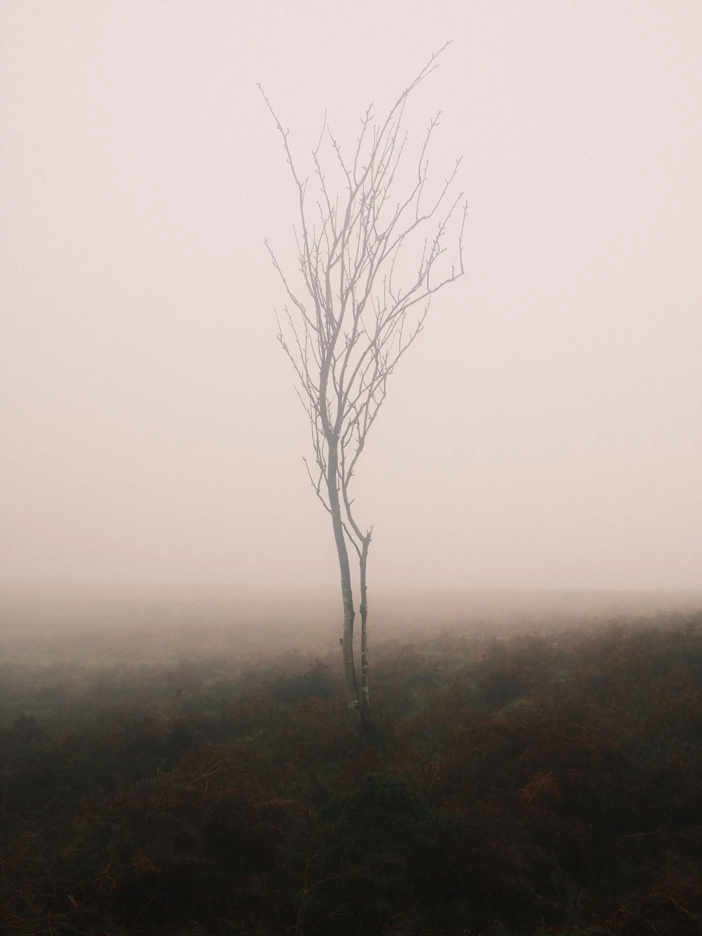 &ldquo;If a load of fog came over the moors now and you had no phone how would you get home&rdquo;  @rowan_elsbury 2025.

The fog then rolled in. We got home thanks to impeccable navigation skills. 

#fujix100vi