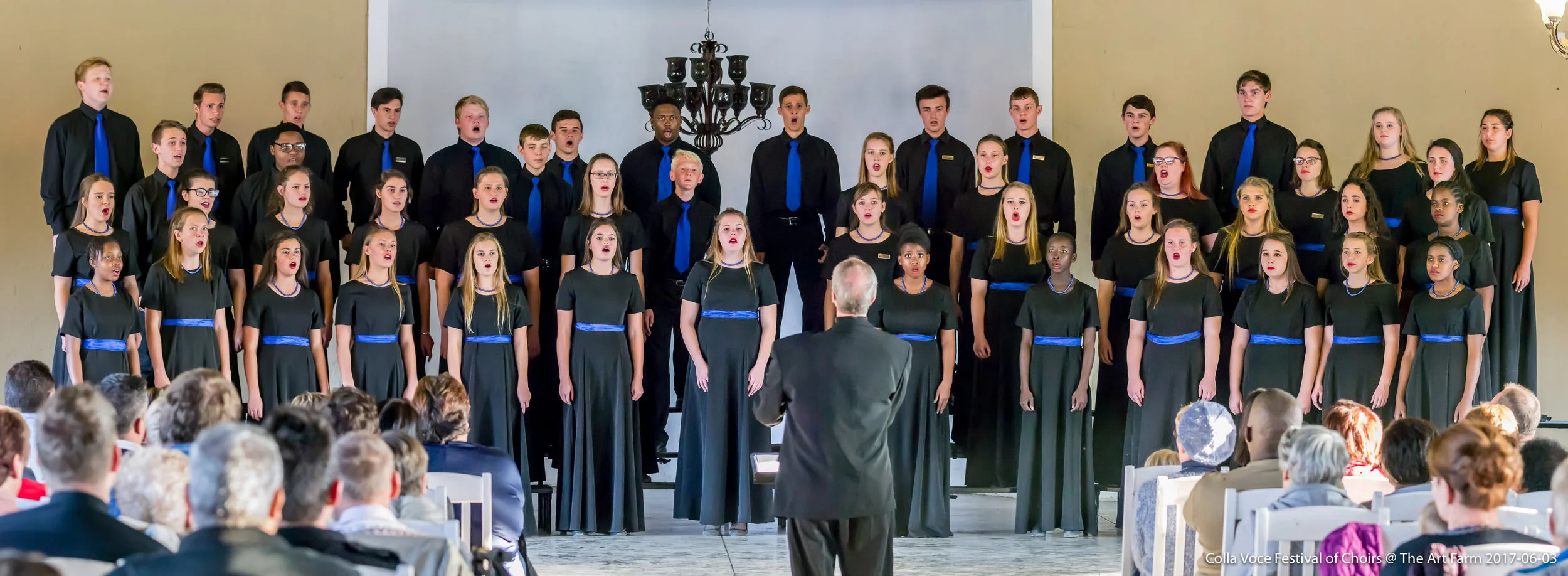 Festival of Choirs 2017-06-03 19.jpg