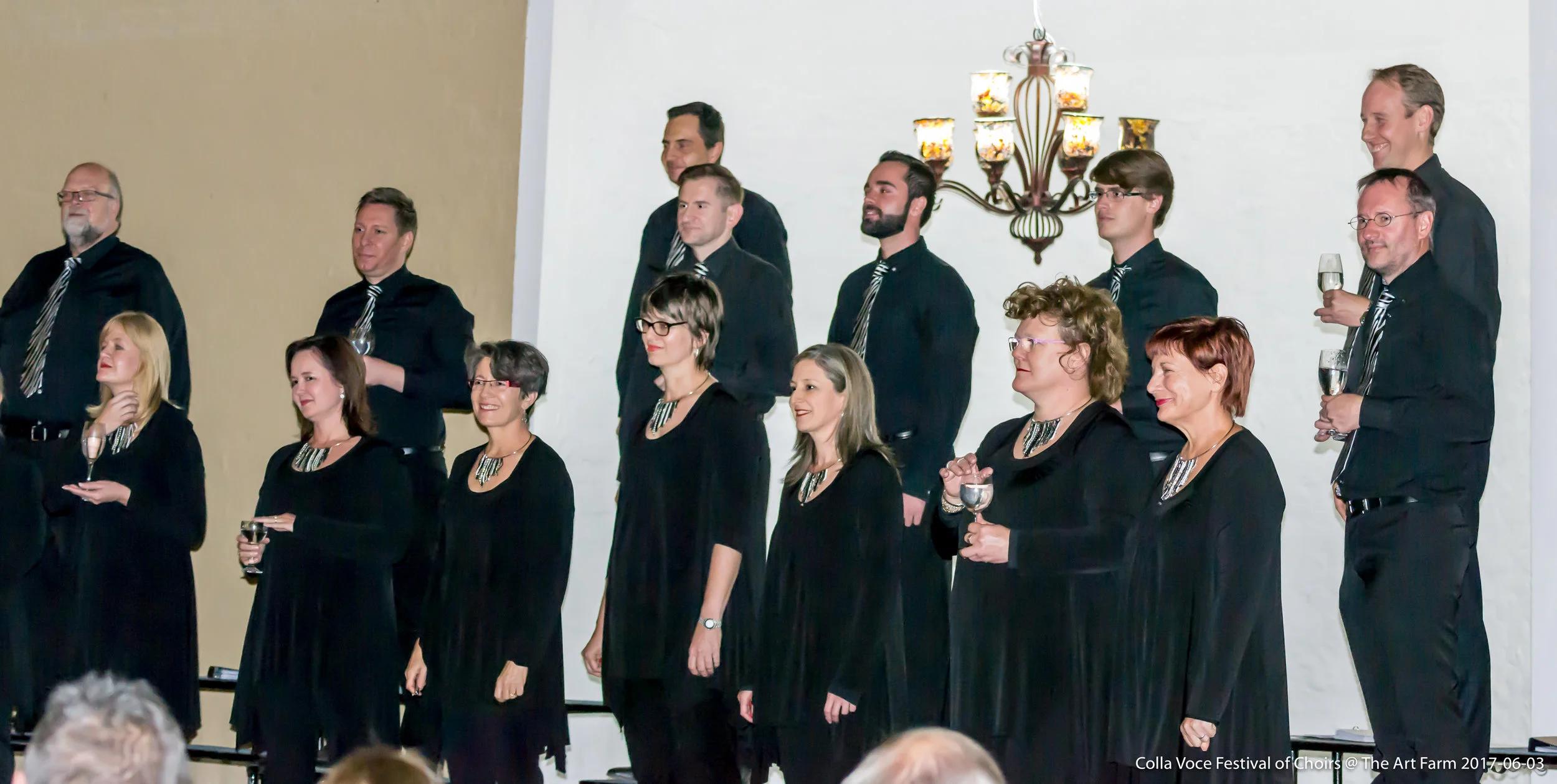 Festival of Choirs 2017-06-03 27.jpg