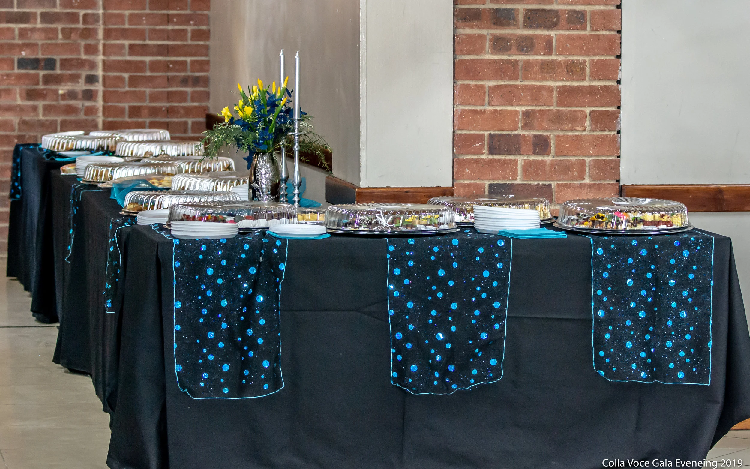 2019 Colla Voce Gala Eveneing 03.jpg