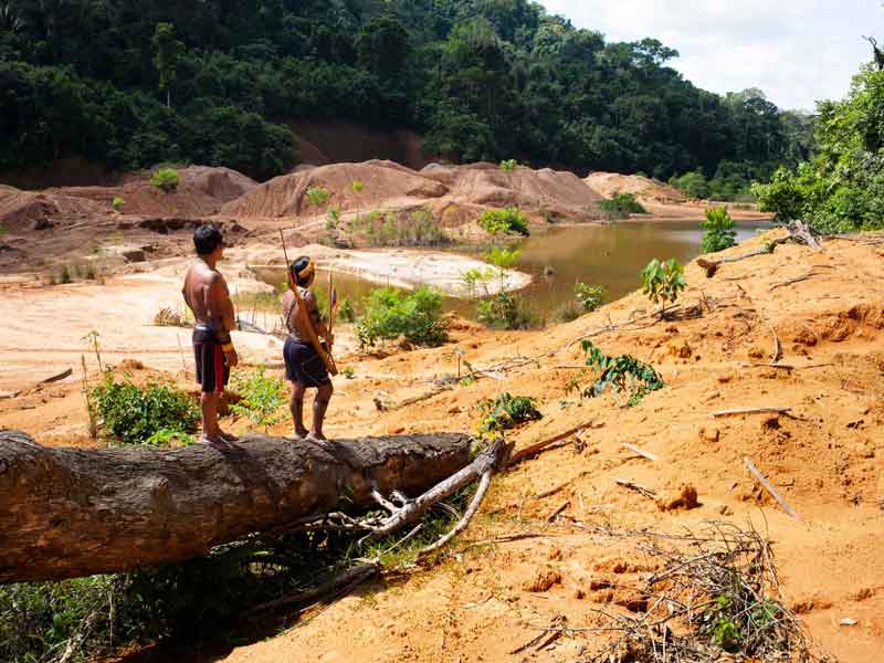 0801-as-the-brazilian-amazon-burns-indigenous-peoples-take-a-stand.jpg