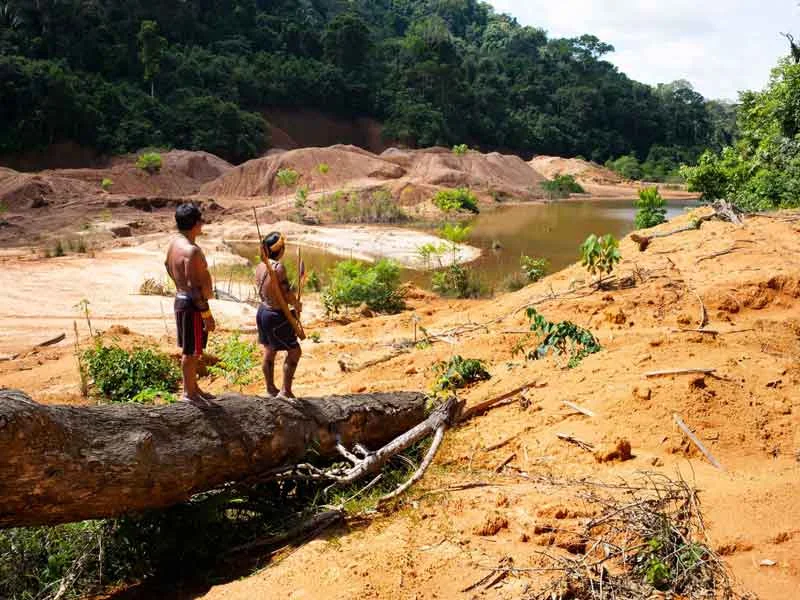0801-as-the-brazilian-amazon-burns-indigenous-peoples-take-a-stand.jpg
