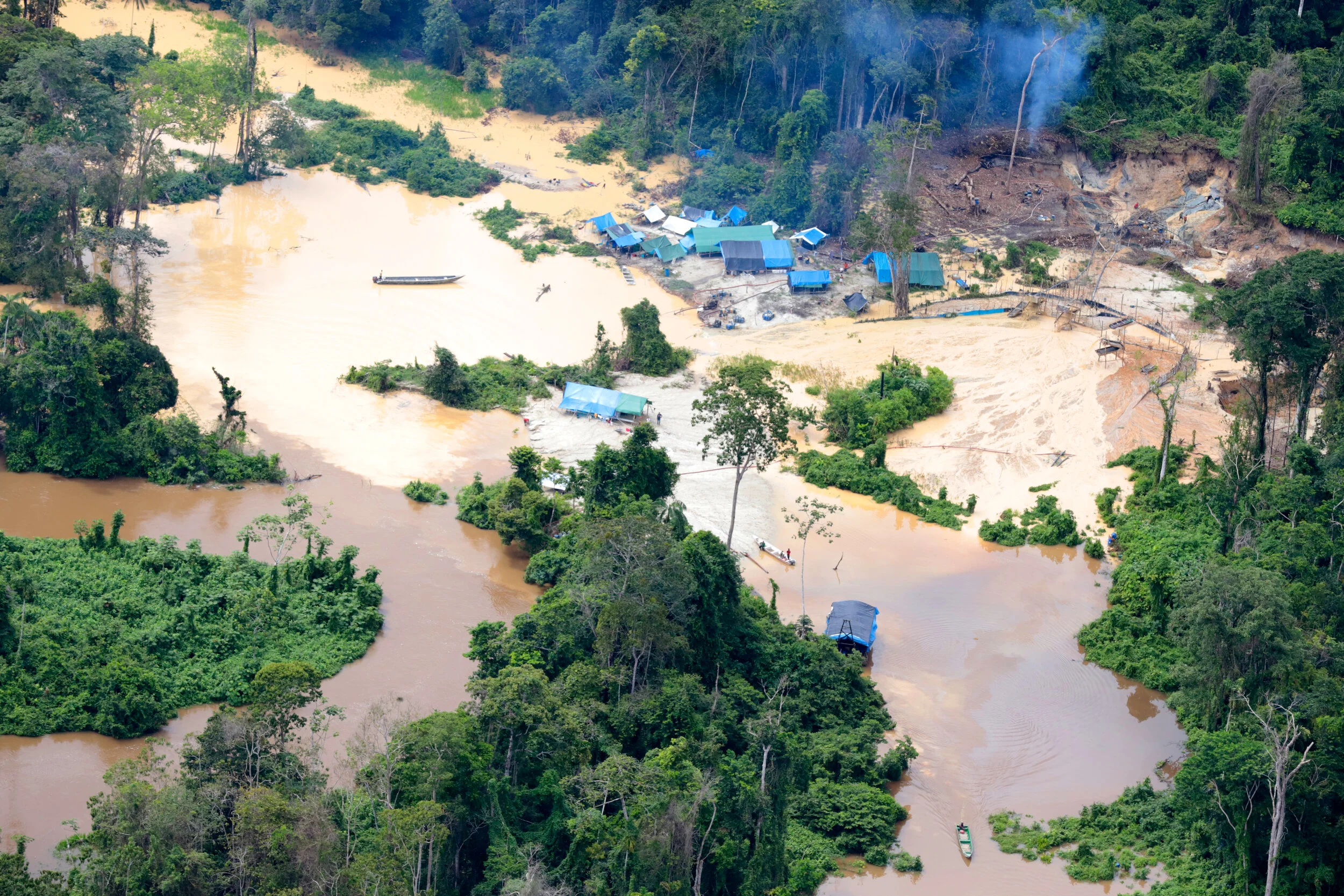 Foto: Chico Batata / Greenpeace
