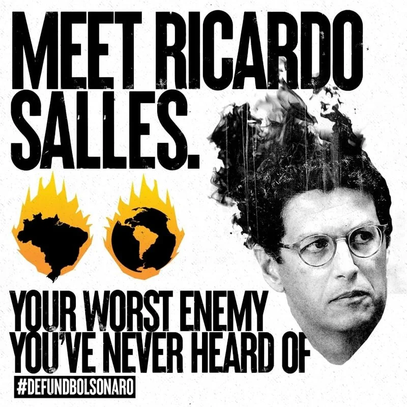 Ny kampanj för att rädda Amazonas. Läs mer: https://www.defundbolsonaro.org/