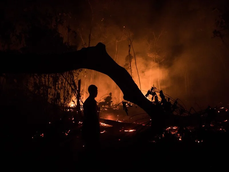 Foto: Bruno Kelly / Amazonia Real