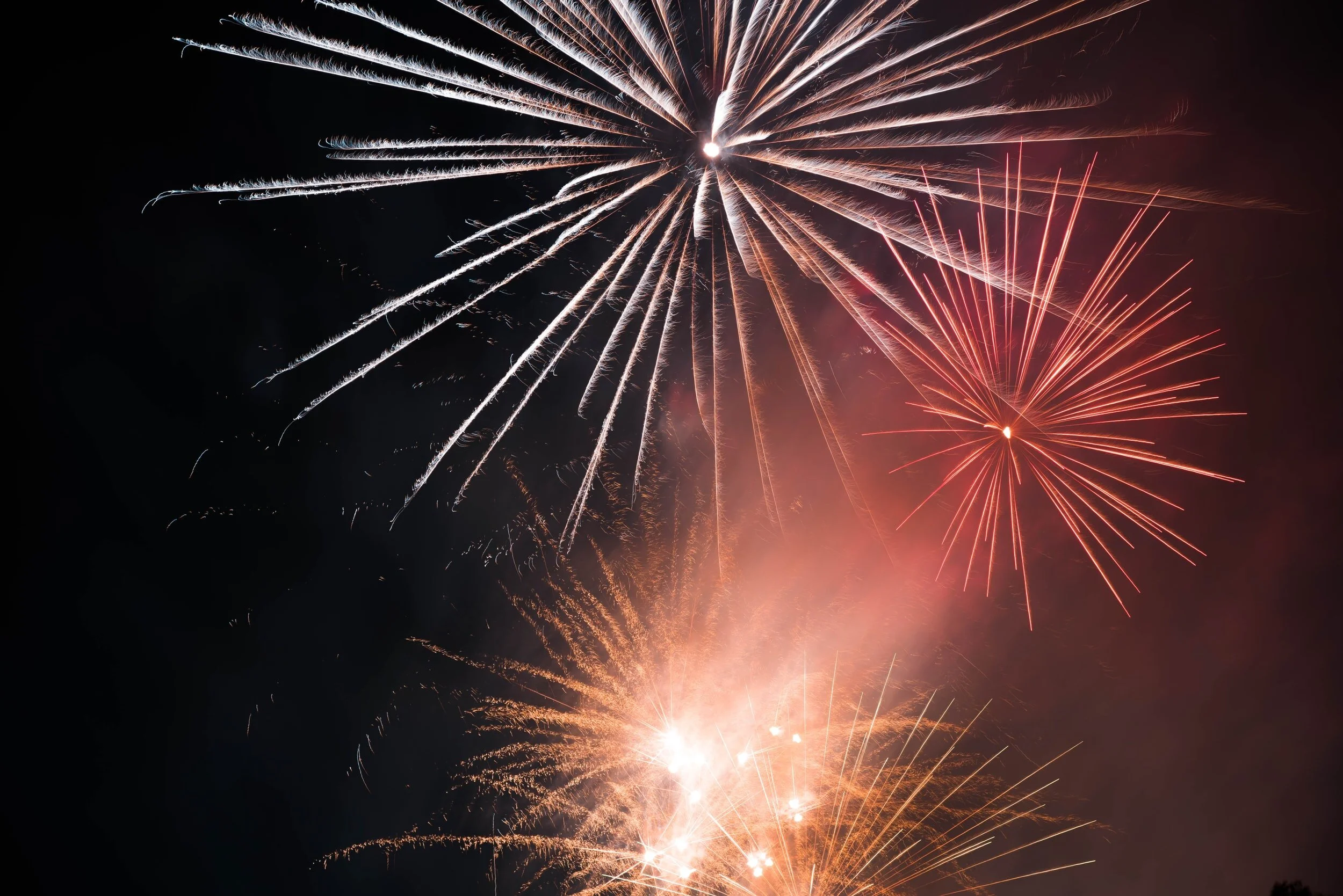 Tillsammans kämpade vi för Amazonas under 2020