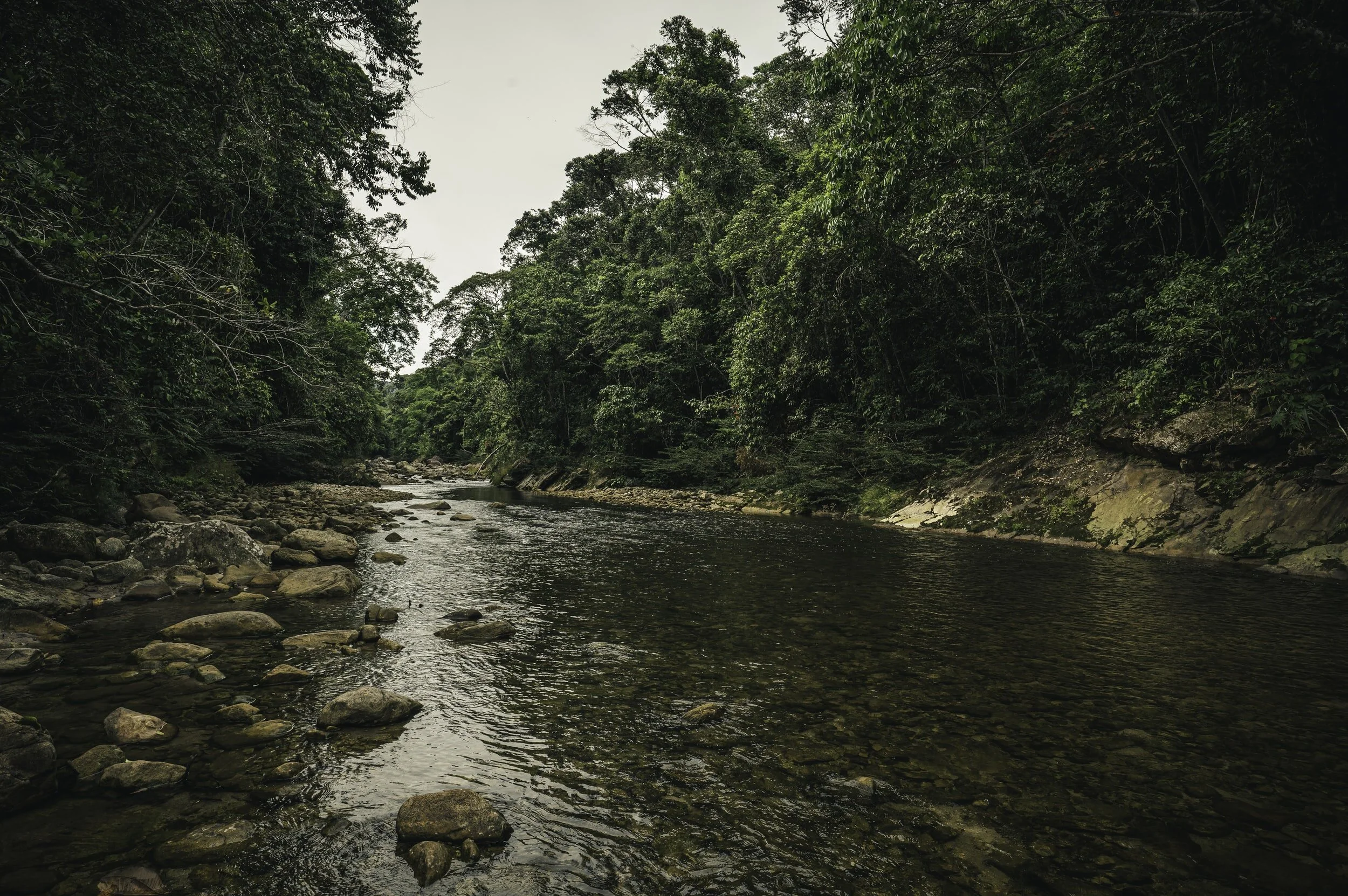 unsplash-image-rwnwi16c-5c.jpg