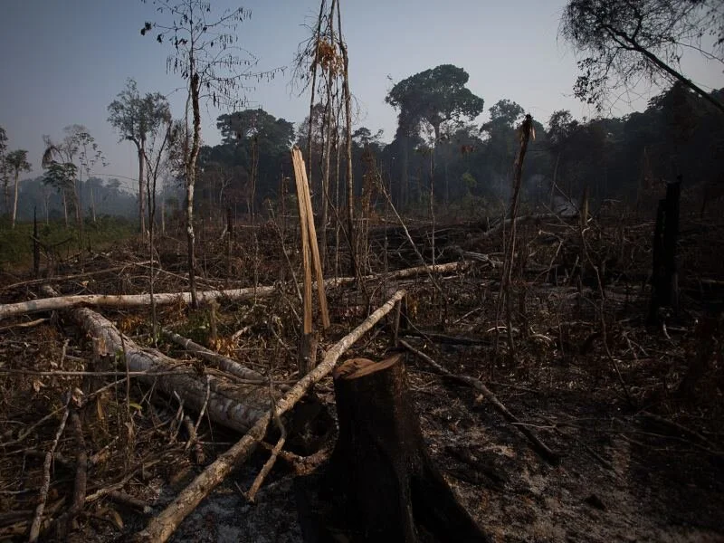 Foto: Bruno Kelly / Amazonia Real