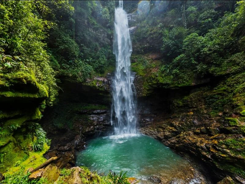 Foto: Sebastian Coronado