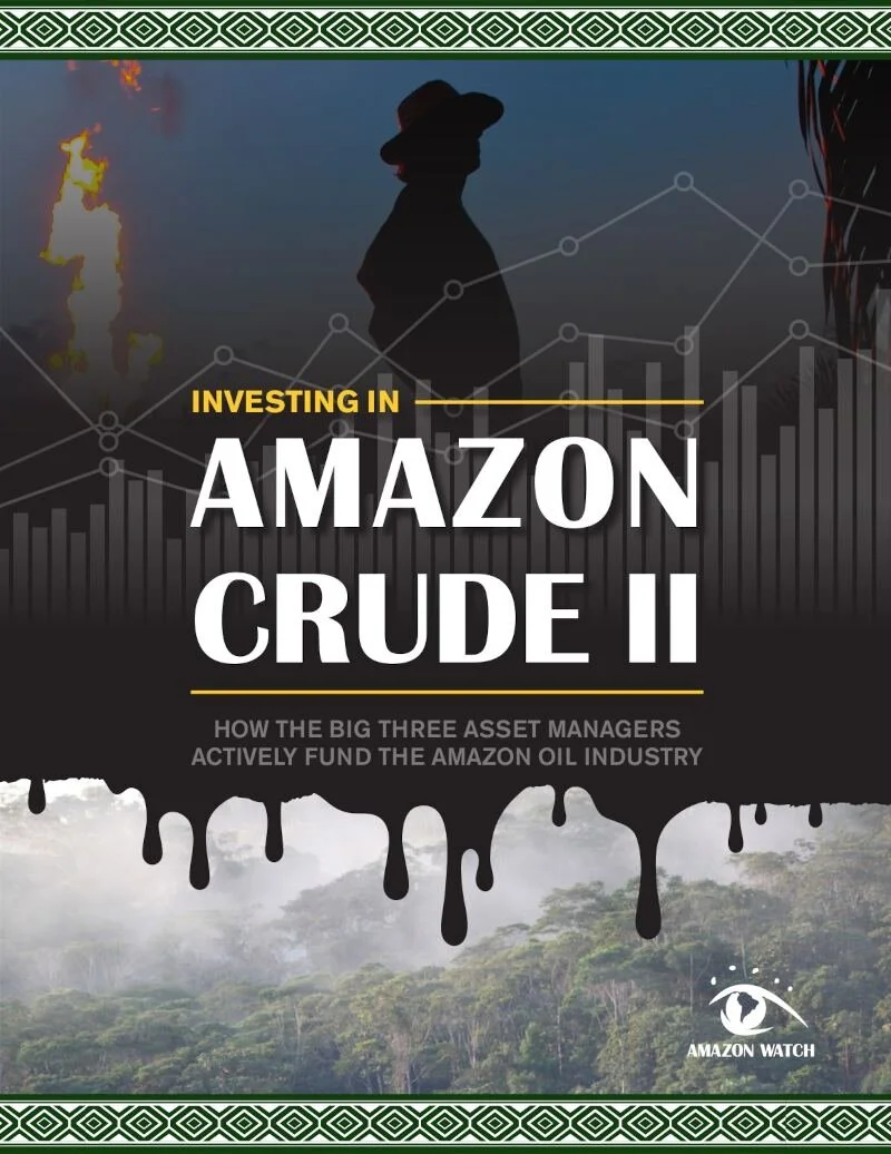 2021-investing-in-amazon-crude-ii.jpeg