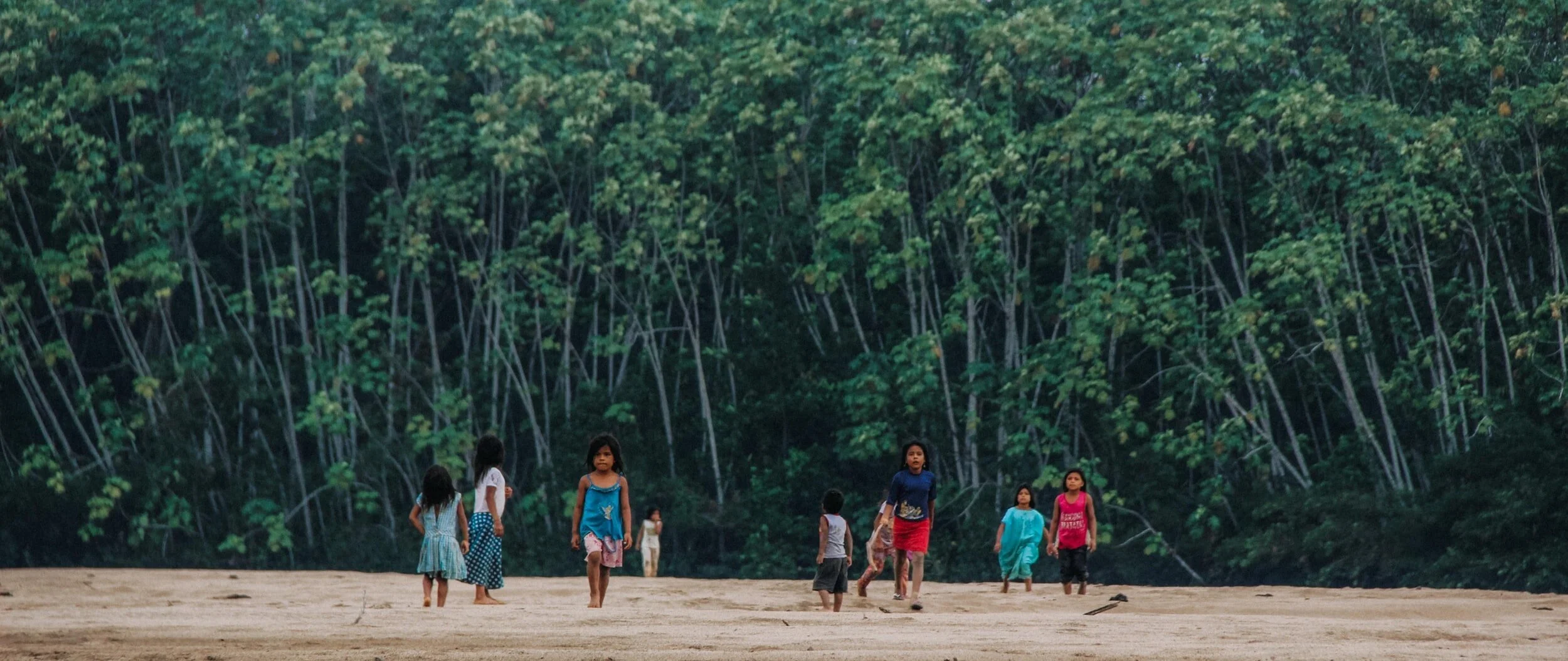 Sommarens nyheter från Amazonas