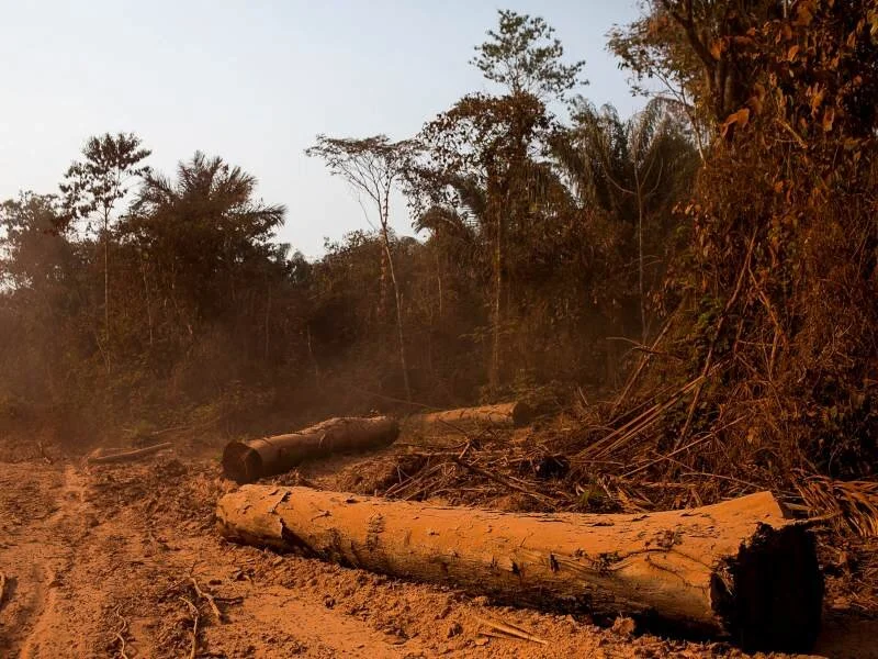 Photo credit: Bruno Kelly / Amazonia Real