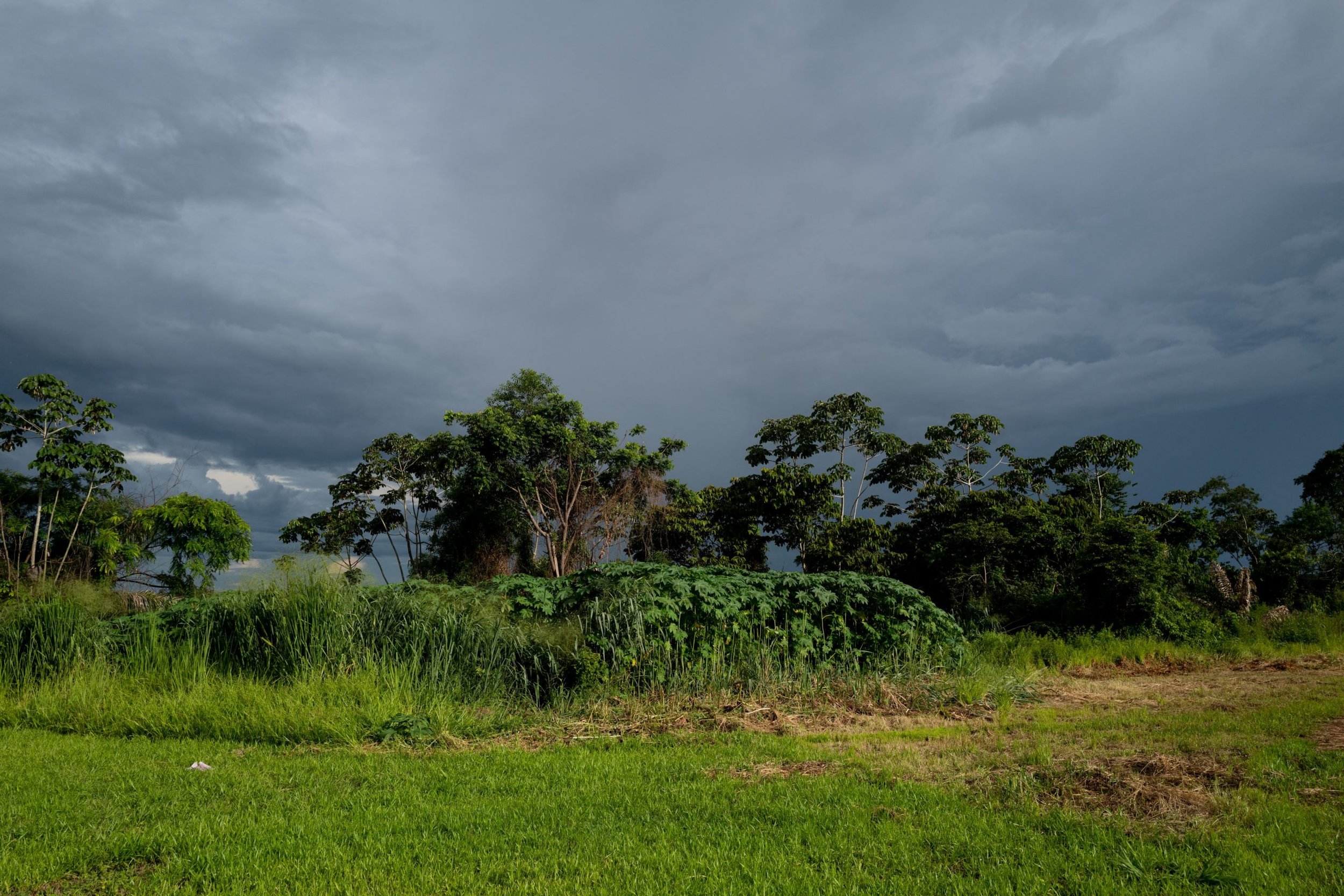  Det är regnsäsong i Xingu. Mörka moln närmar sig Metuktiresamhället. Foto: Alice Aedy 