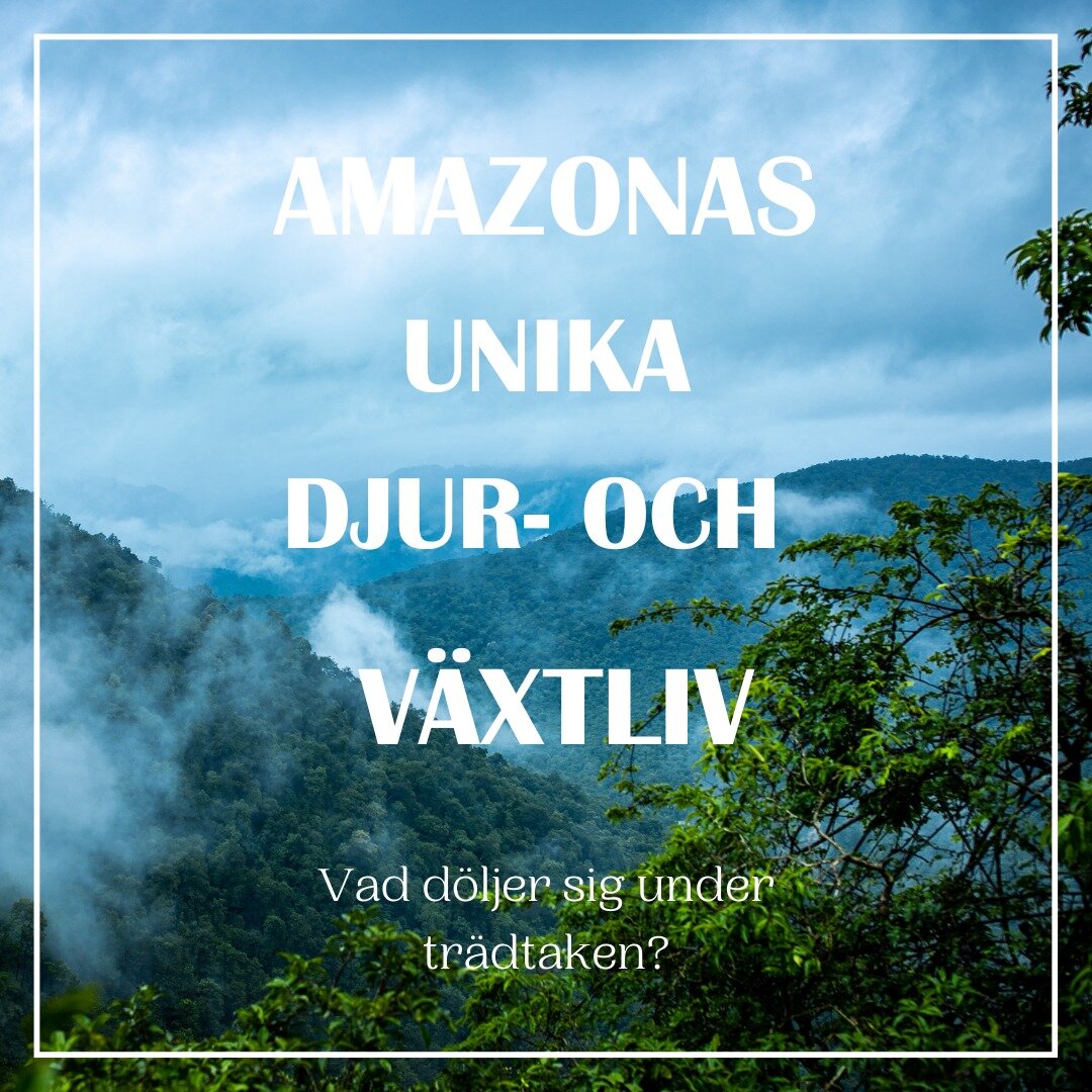 Idag lanserar vi v&aring;r nya artikelserie om Amazonas unika djur- och v&auml;xtliv. I den h&auml;r artikelserien vill vi lyfta den fantastiska biologiska m&aring;ngfald som finns i Amazonas. Varje onsdag och fredag fram till den 17 mars l&auml;gger