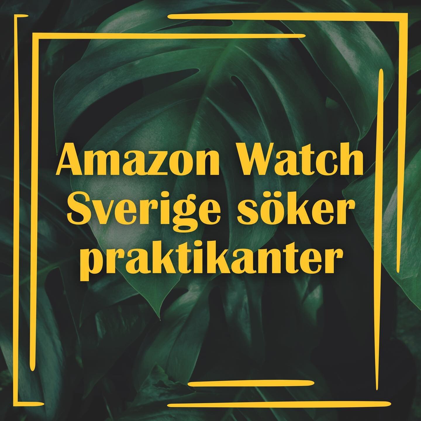 Vill du l&auml;ra dig om hur Amazonas urfolk kan r&auml;dda klimatet? Vill du arbeta med fr&aring;gor som fr&auml;mjar m&auml;nskliga r&auml;ttigheter och en h&aring;llbar framtid? &Auml;r du intresserad av kommunikation, p&aring;verkansarbete och gi