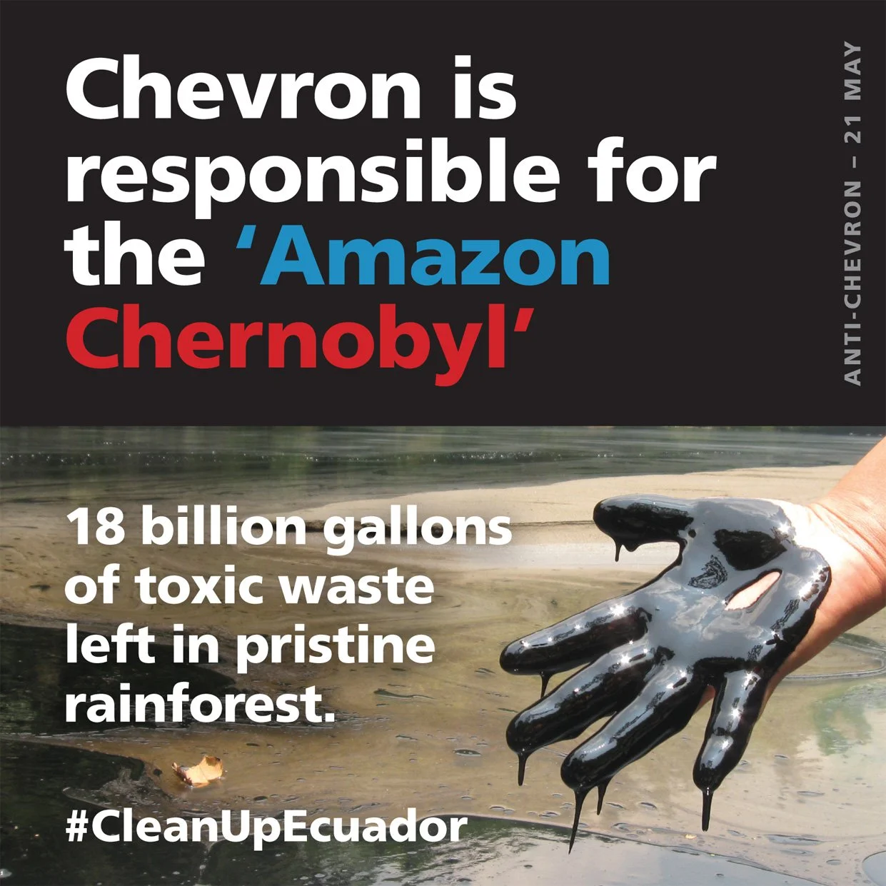 Chevron-Amazon-1.jpeg