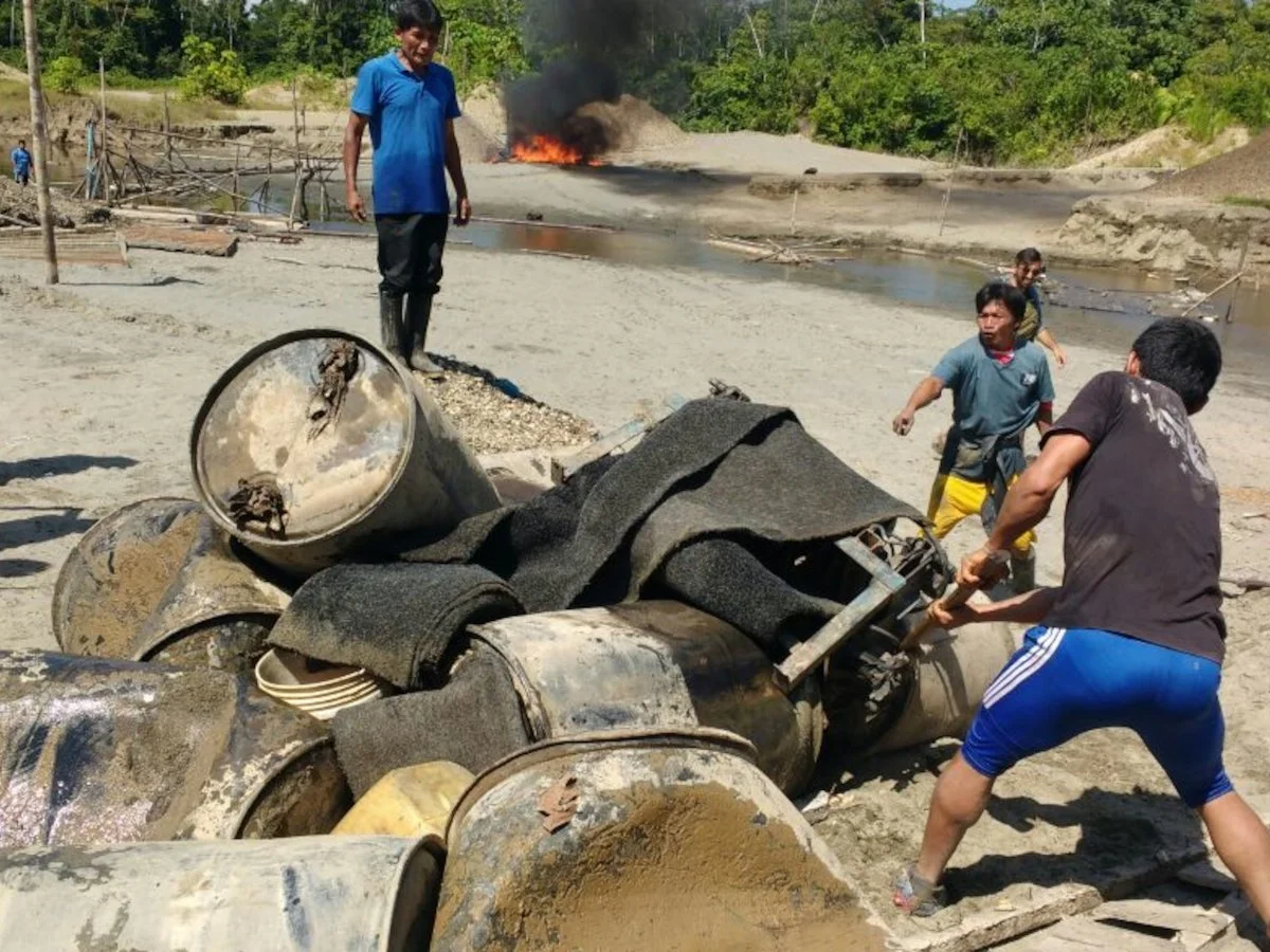 Det växande hotet från organiserad brottslighet i Amazonas