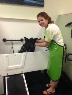 Karen is bathing her own dog, Eva Peron. Eva doesn't look too happy about it but she was so soft and smelled so good after her bath!