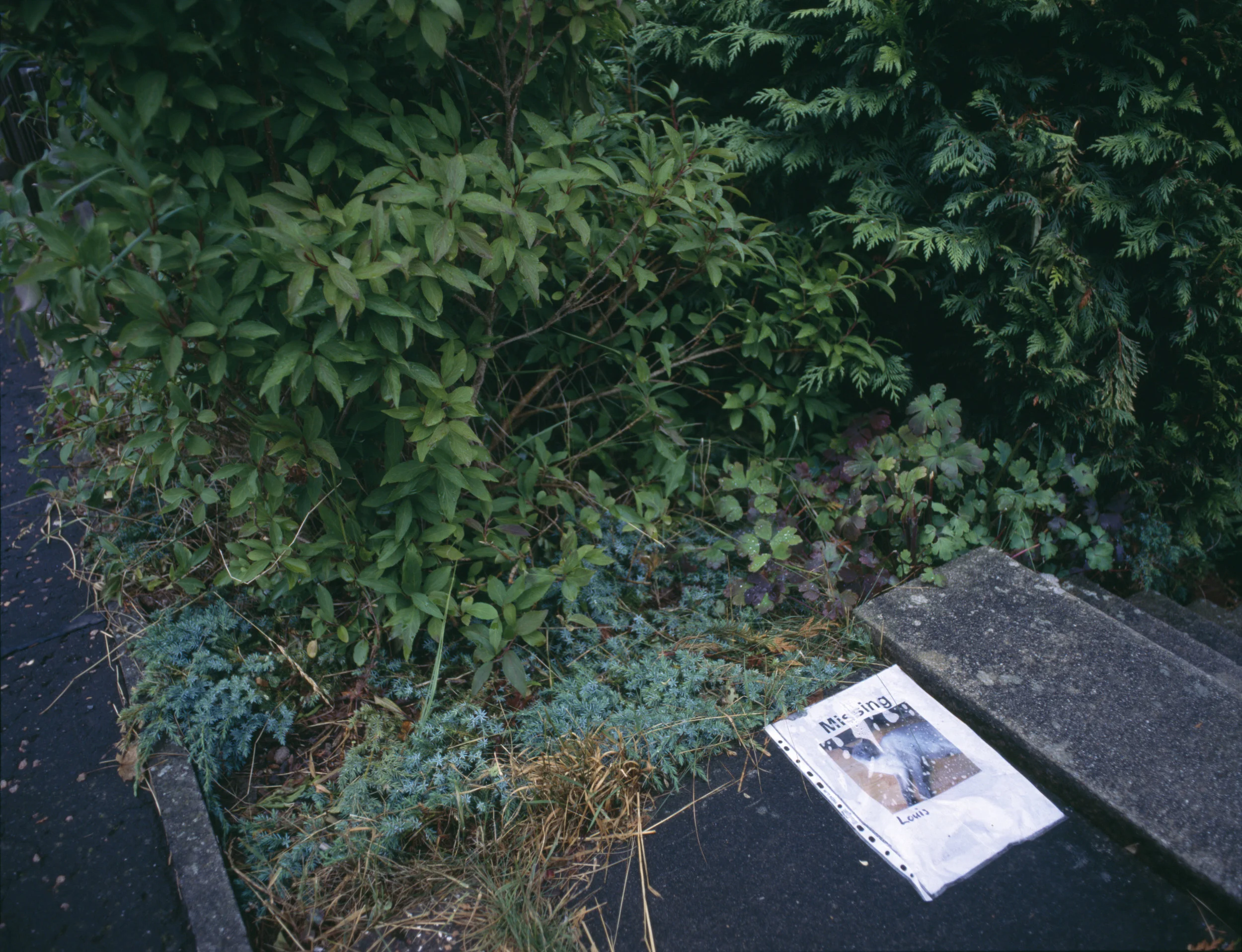 Scotland, 2006