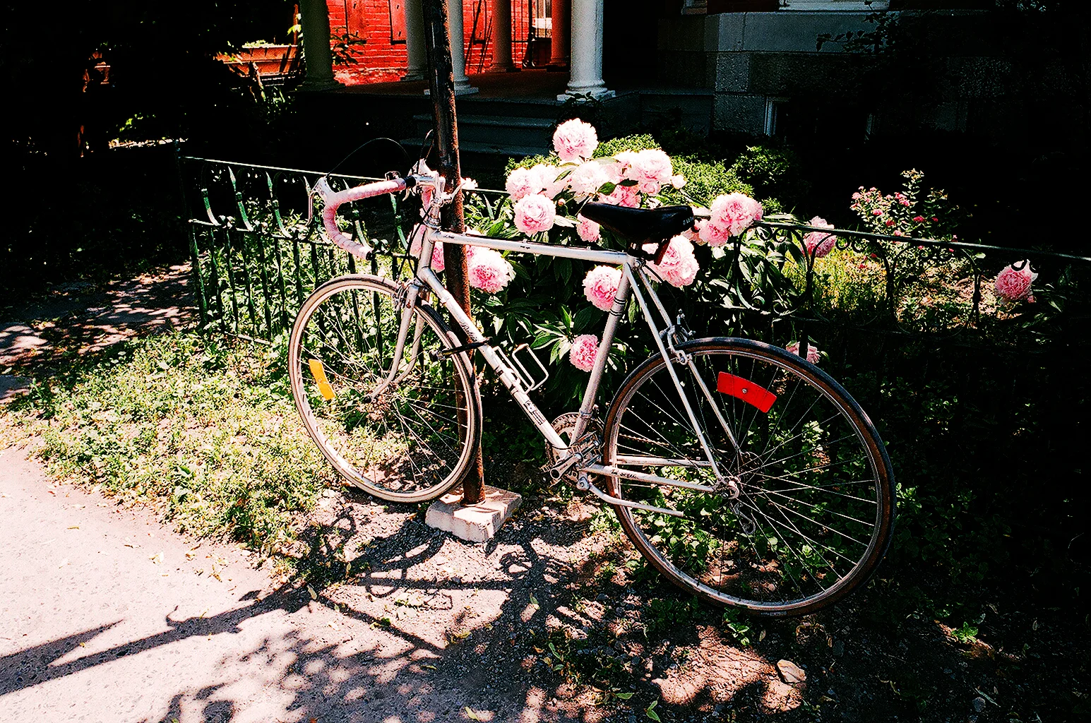 Flowers & A Bike