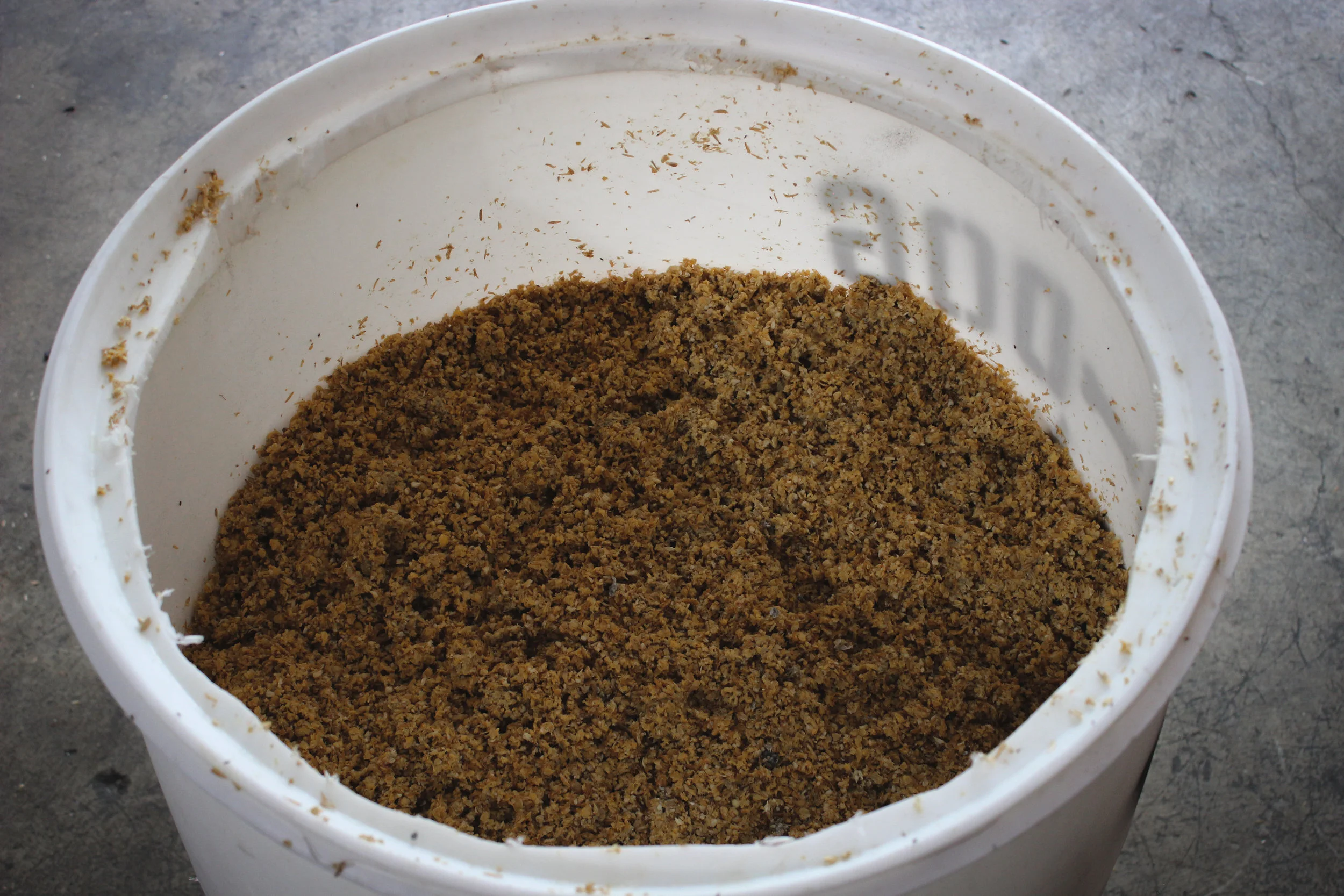 Spent Grain used by local farmers as feed for livestock.