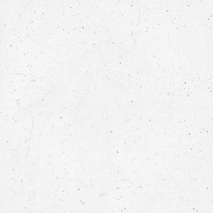 leslie-concrete.png