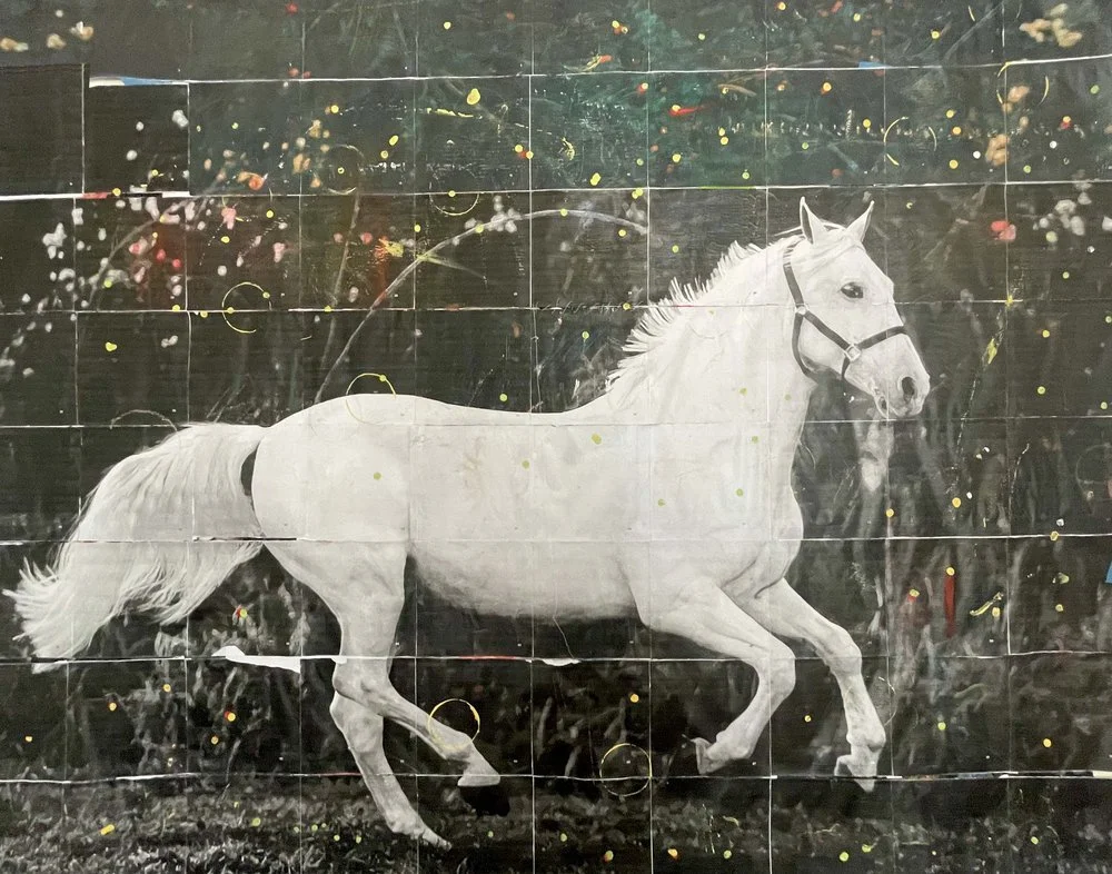 website_horse_1.jpeg