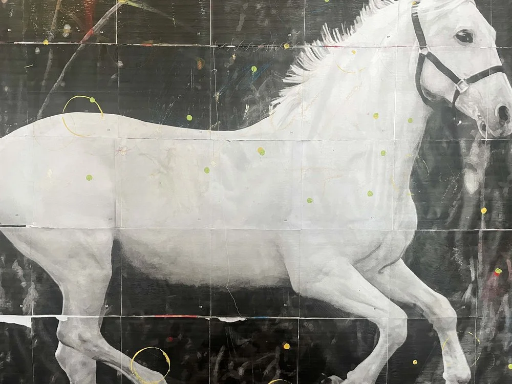 website_horse_2.jpeg