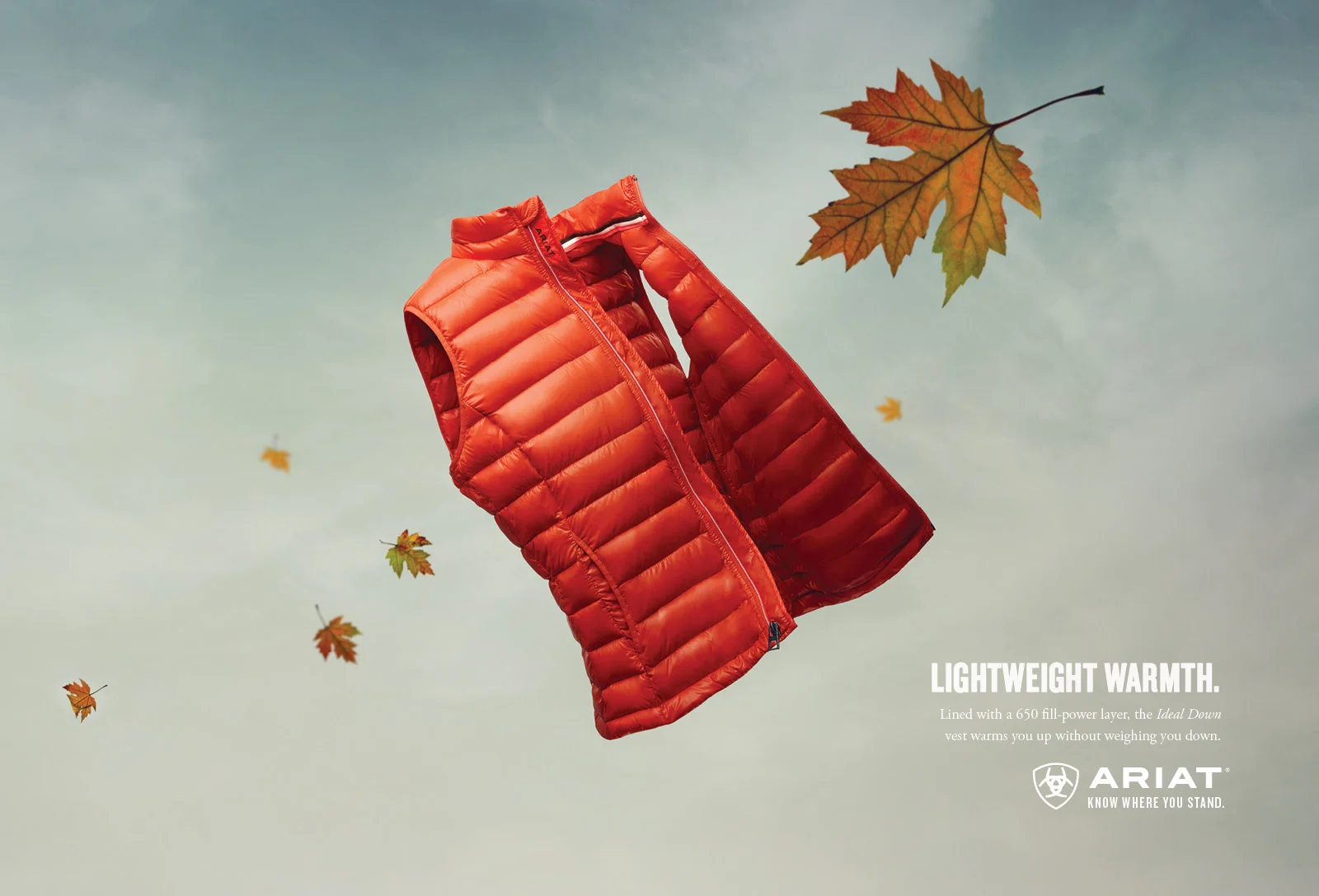vest.jpg