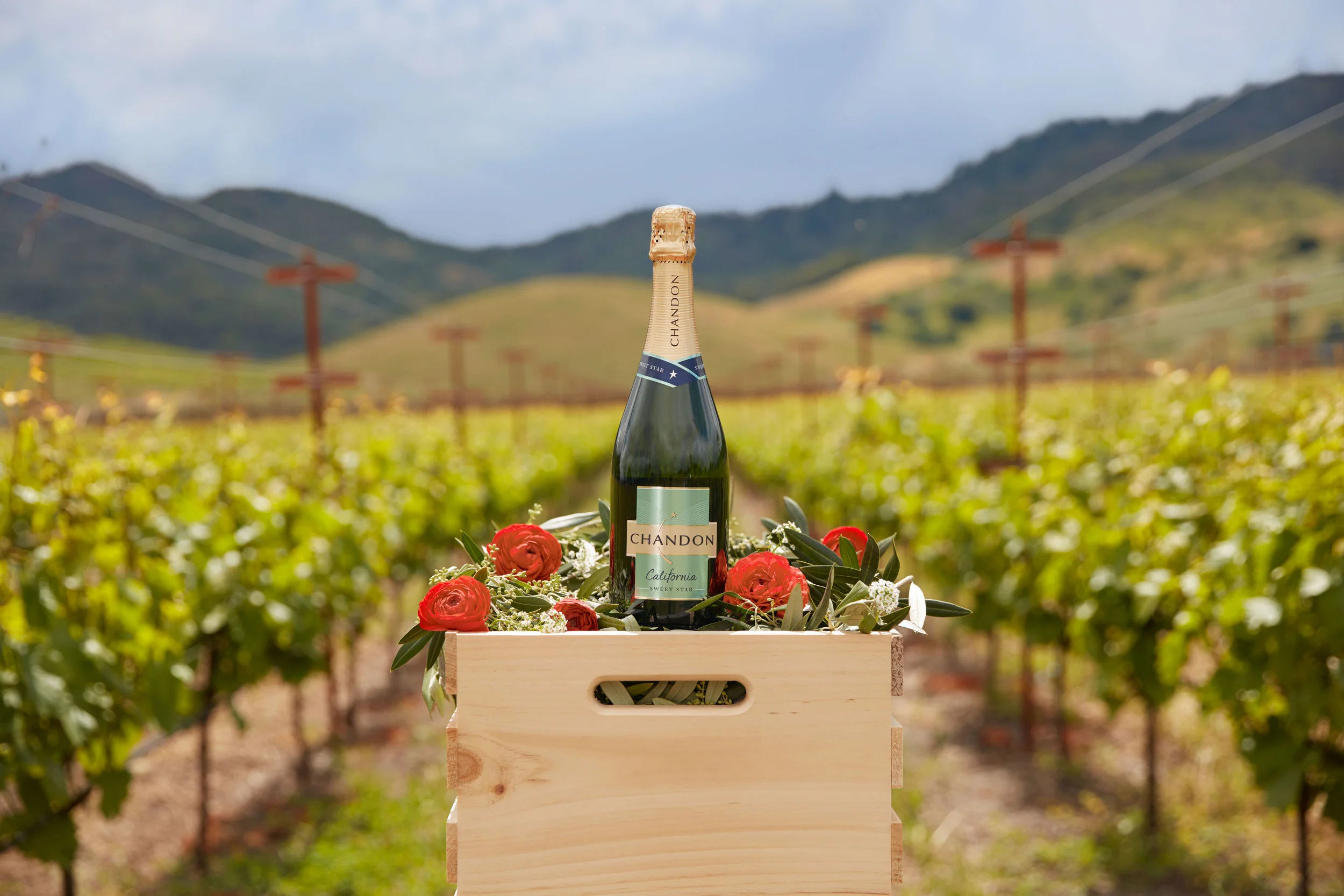 CHANDON-EXTR-VINEYARD-BOTTLES-35_WEB-READY.jpg