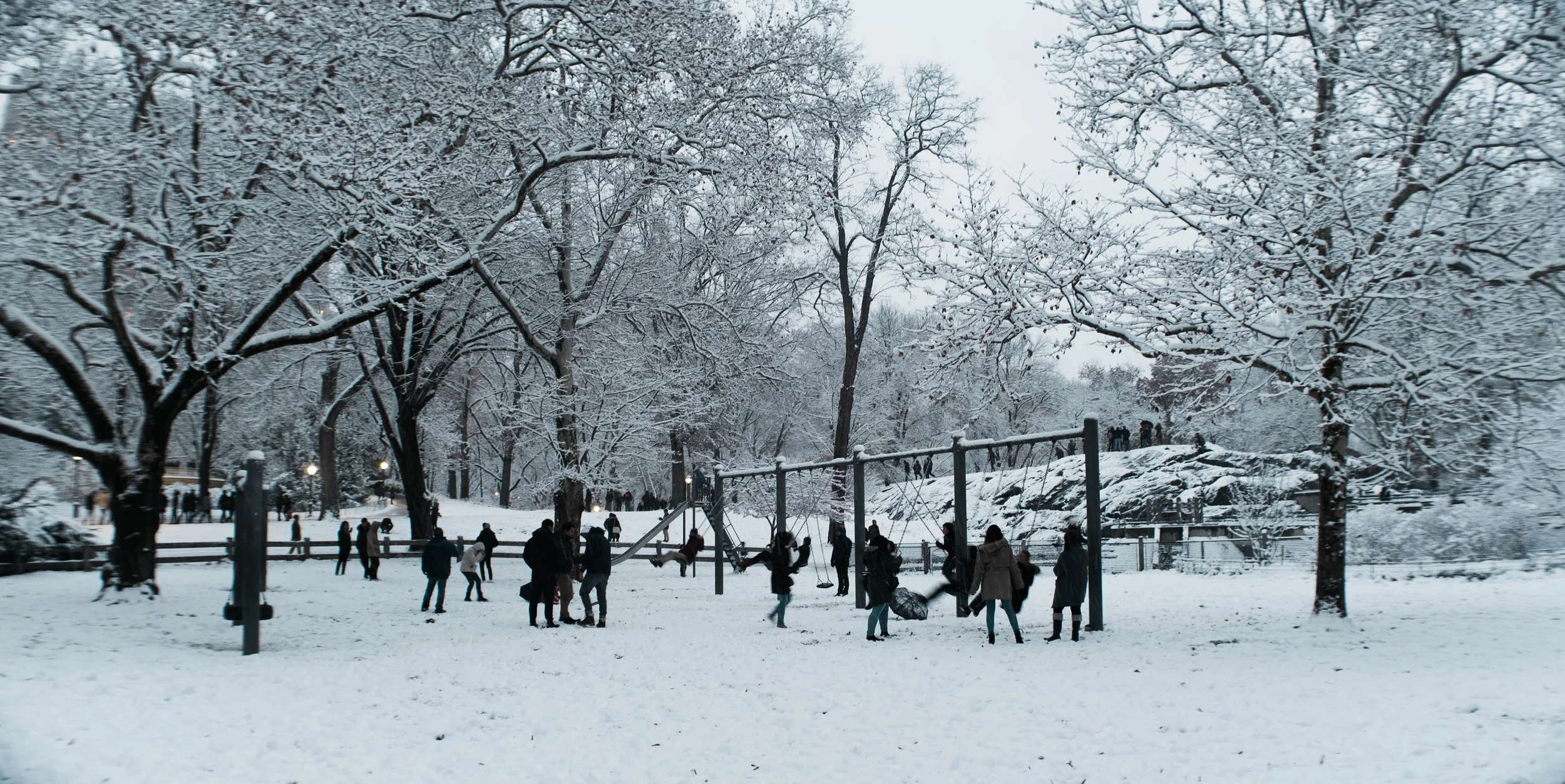 DSCF6374-Edit.jpg