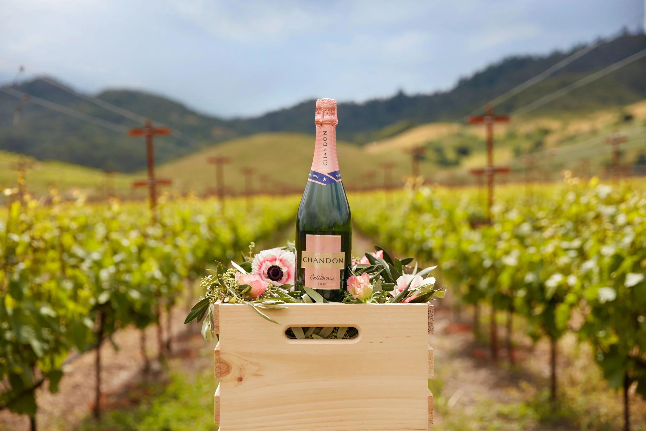 CHANDON-EXTR-VINEYARD-BOTTLES-26_WEB-READY.jpg