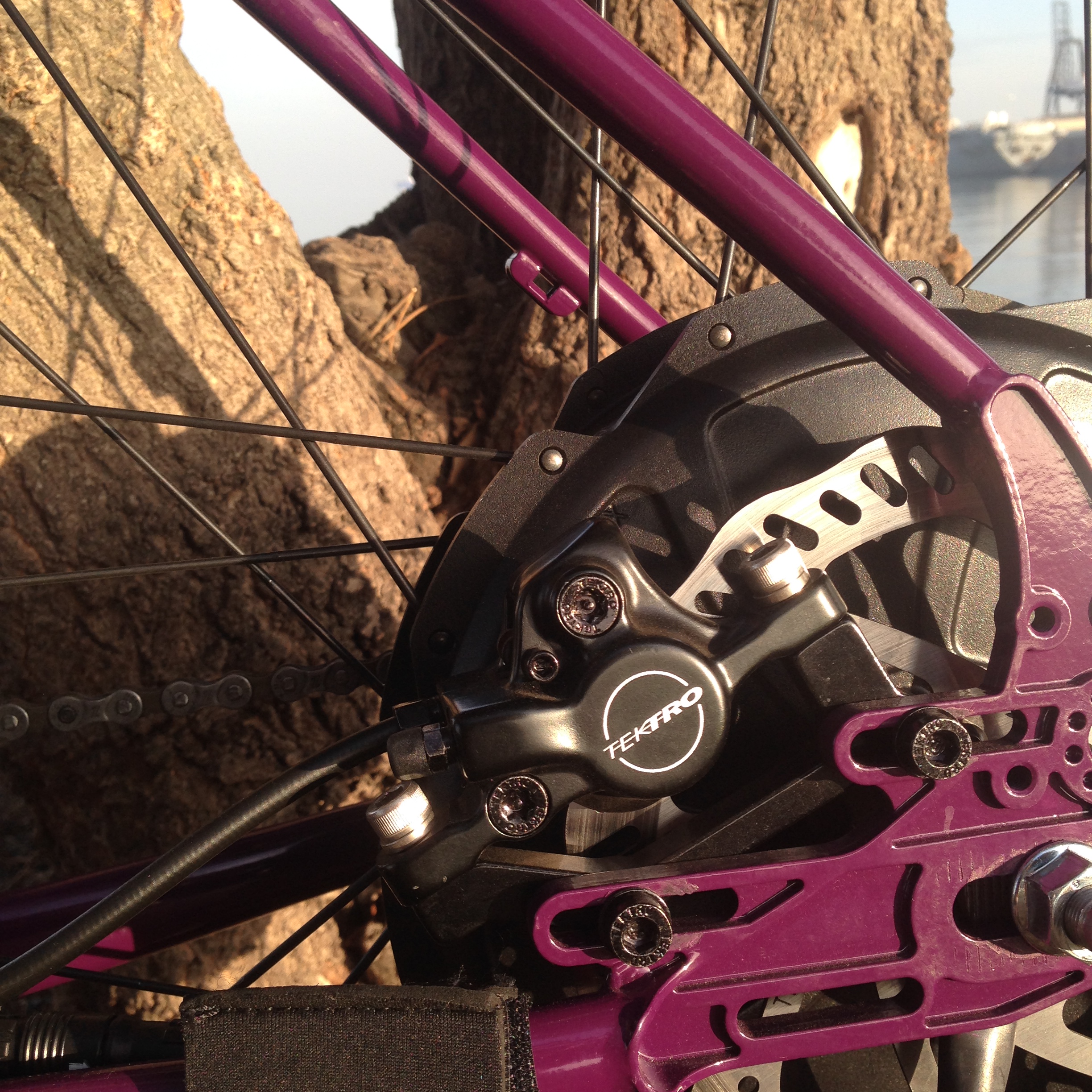 Tektro hydraulic disc brakes.