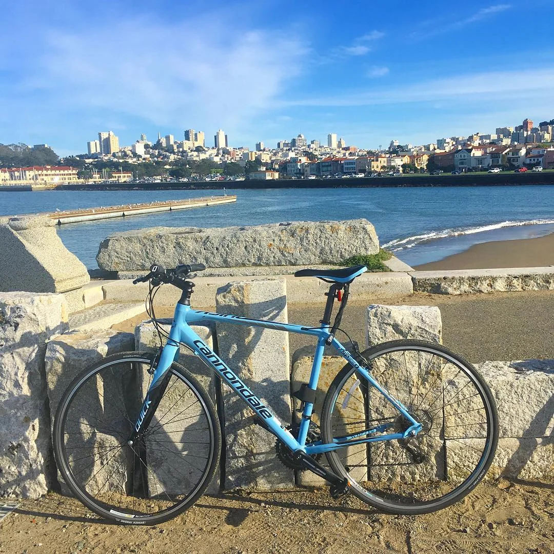 Google Maps SDK Exceeds GitHub's File Size Limit