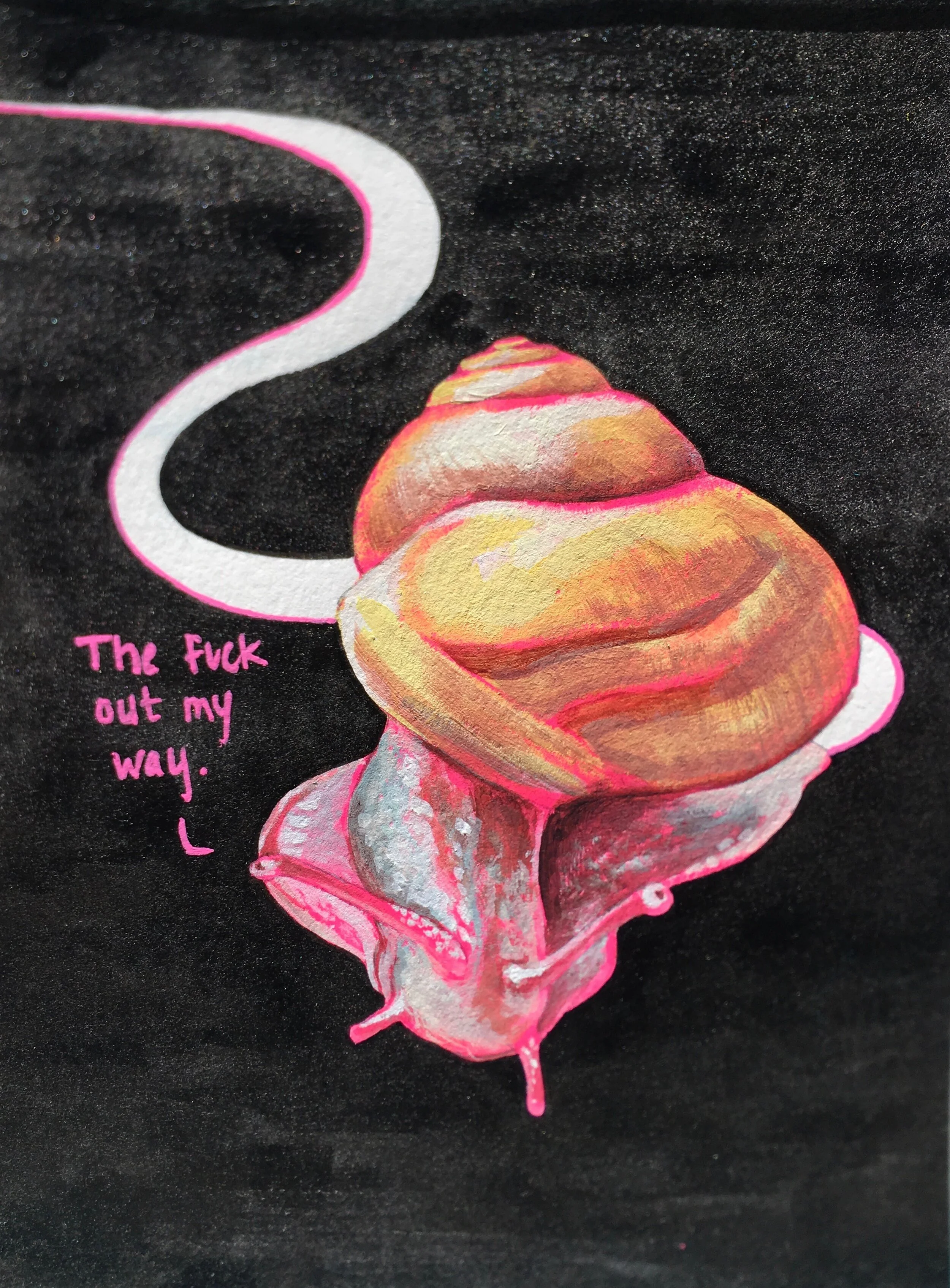 Snail illustration