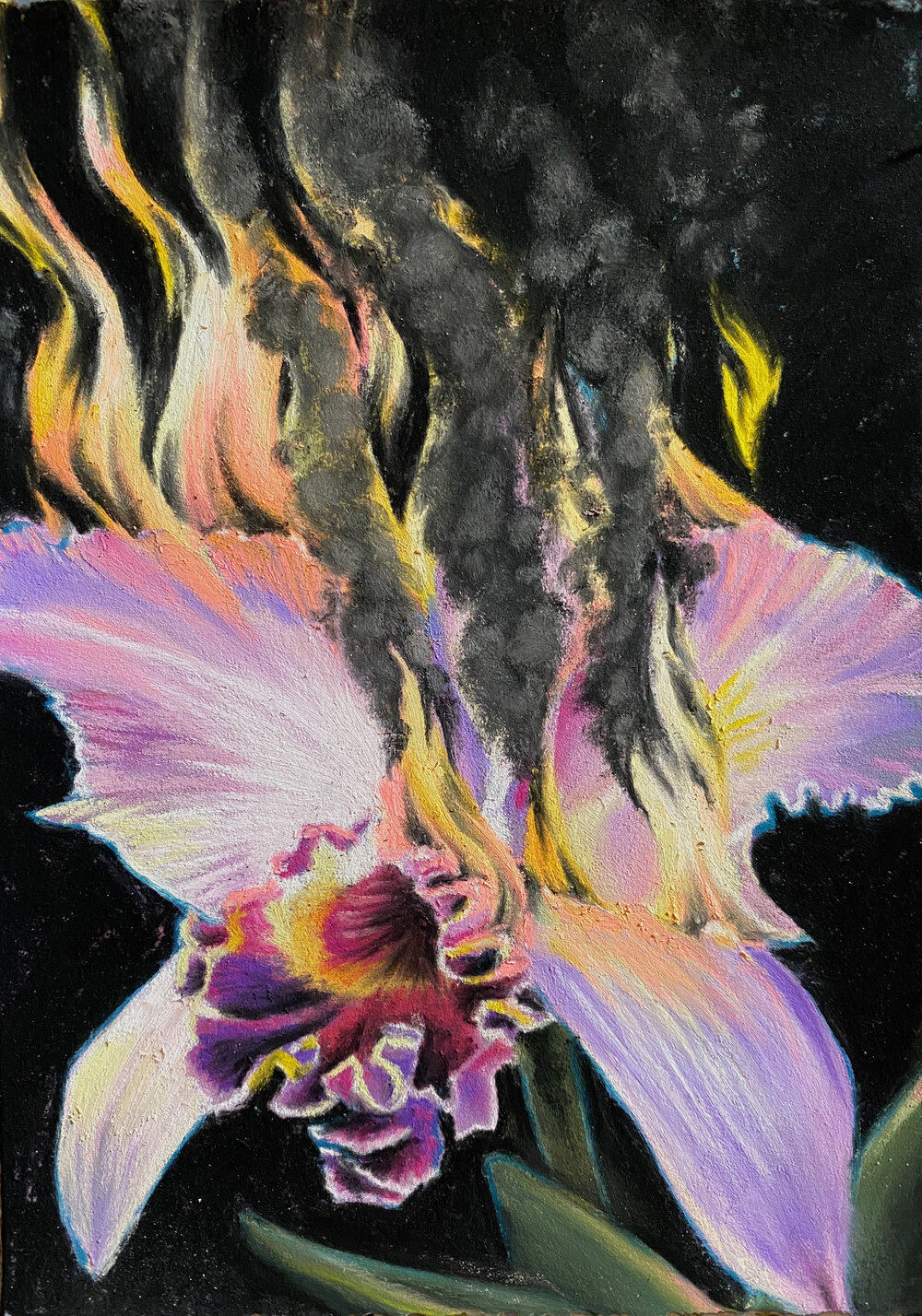 Flaming blossom