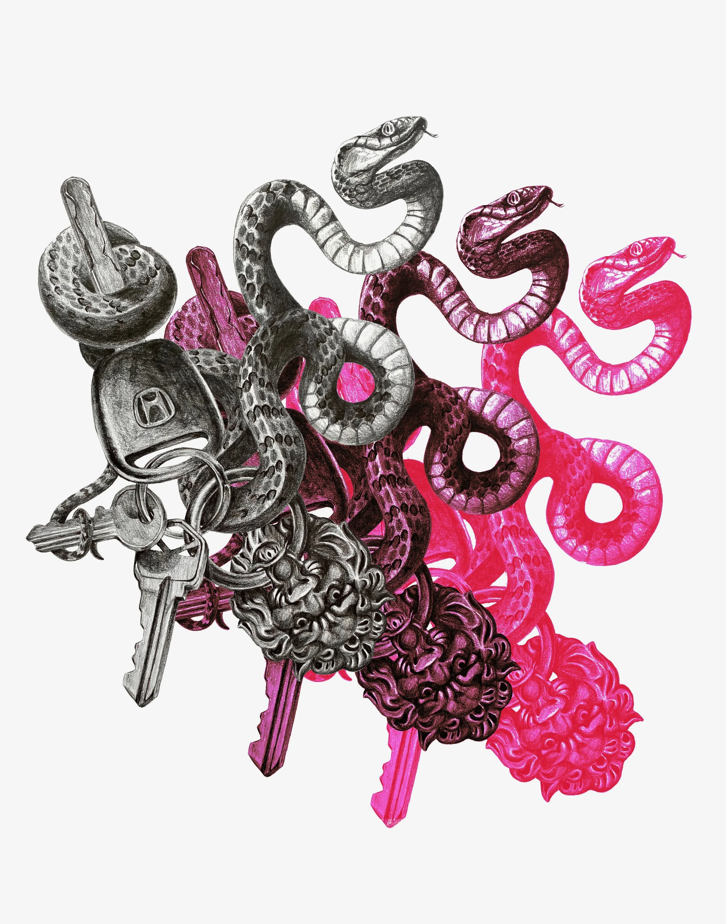 Invasive species - Infiltration, graphite and digital, 2020