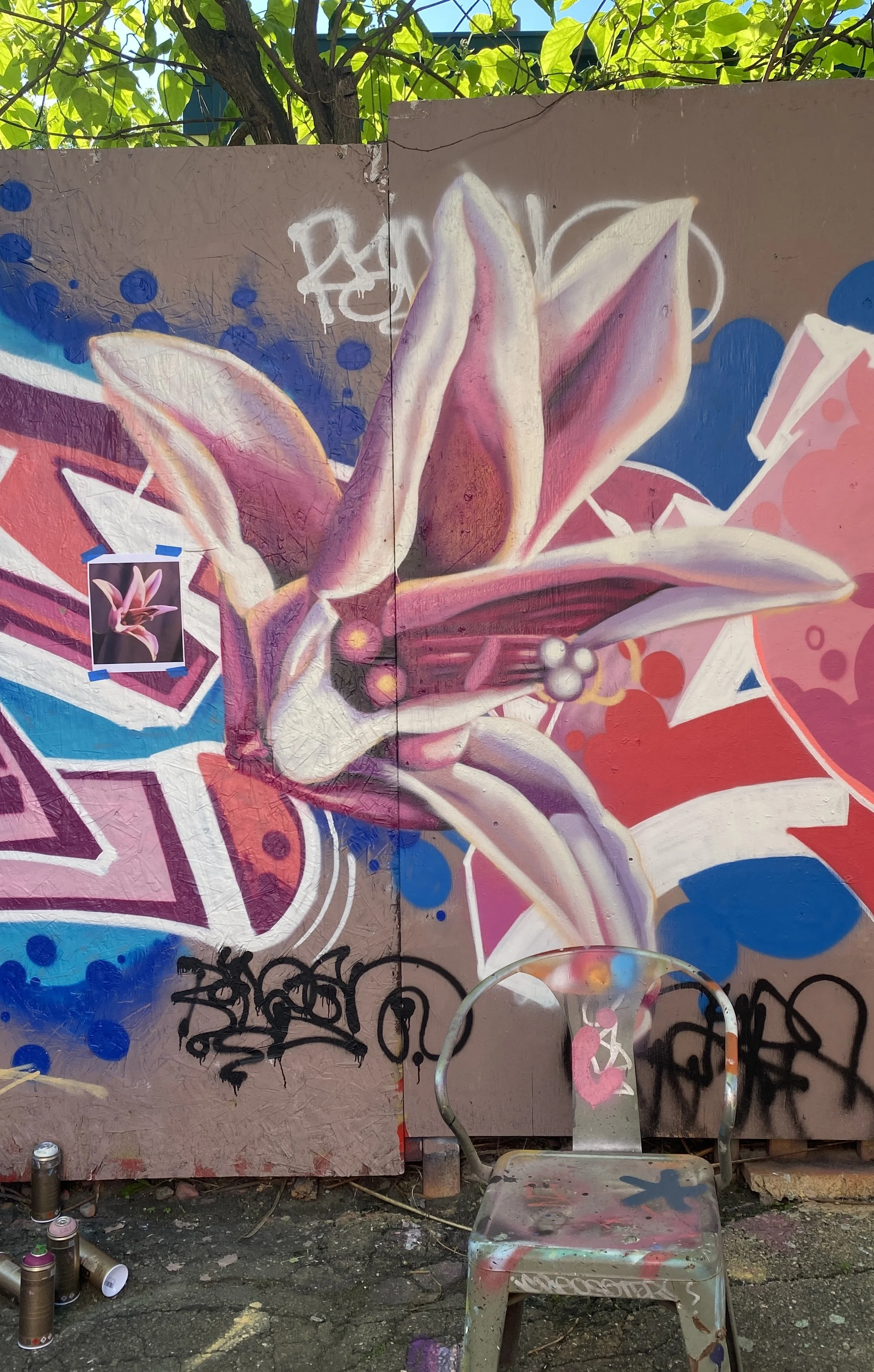 Lily, spraypaint