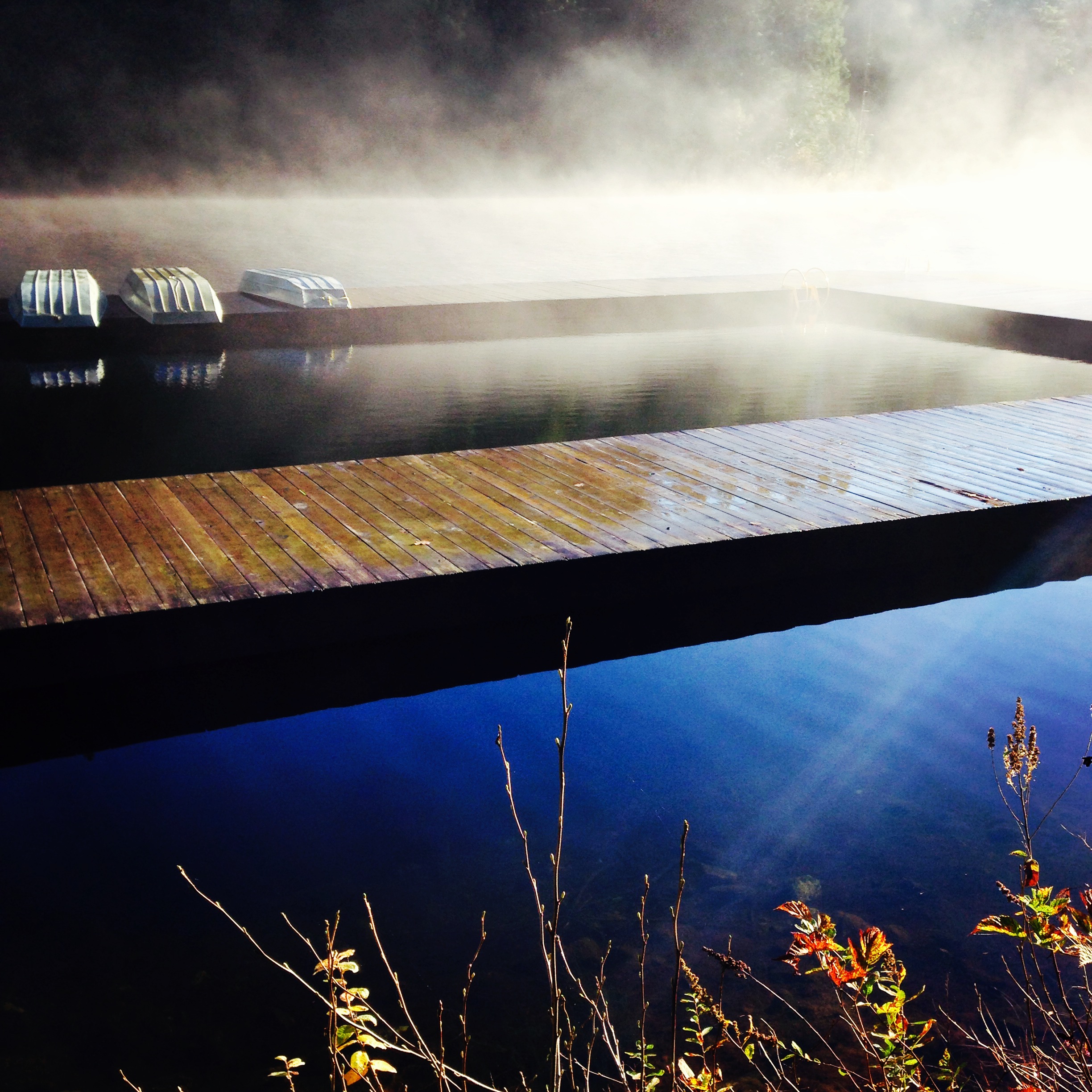 Photo by Joost Bakker Loon Lake 2014