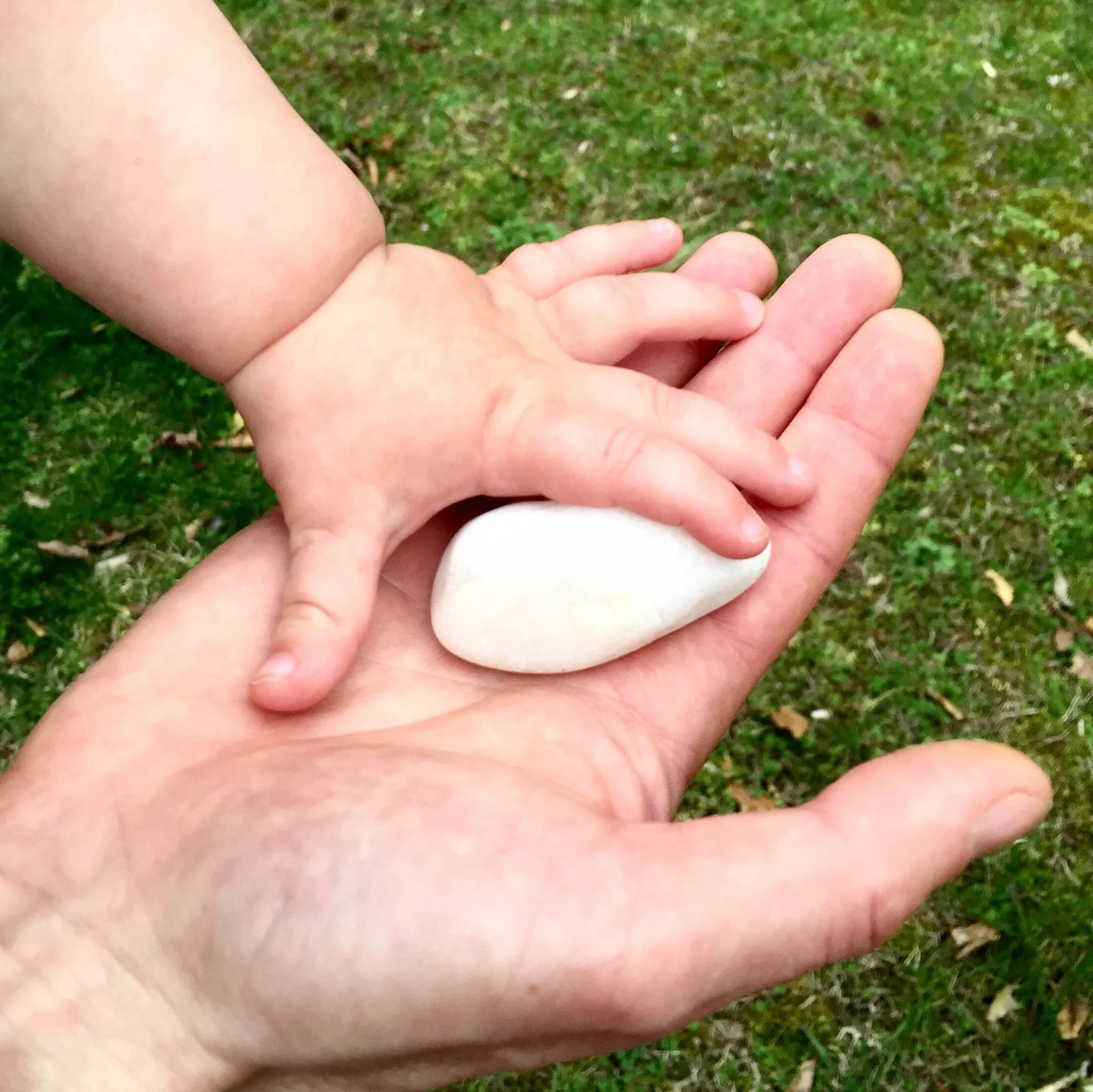 Family Practice Program