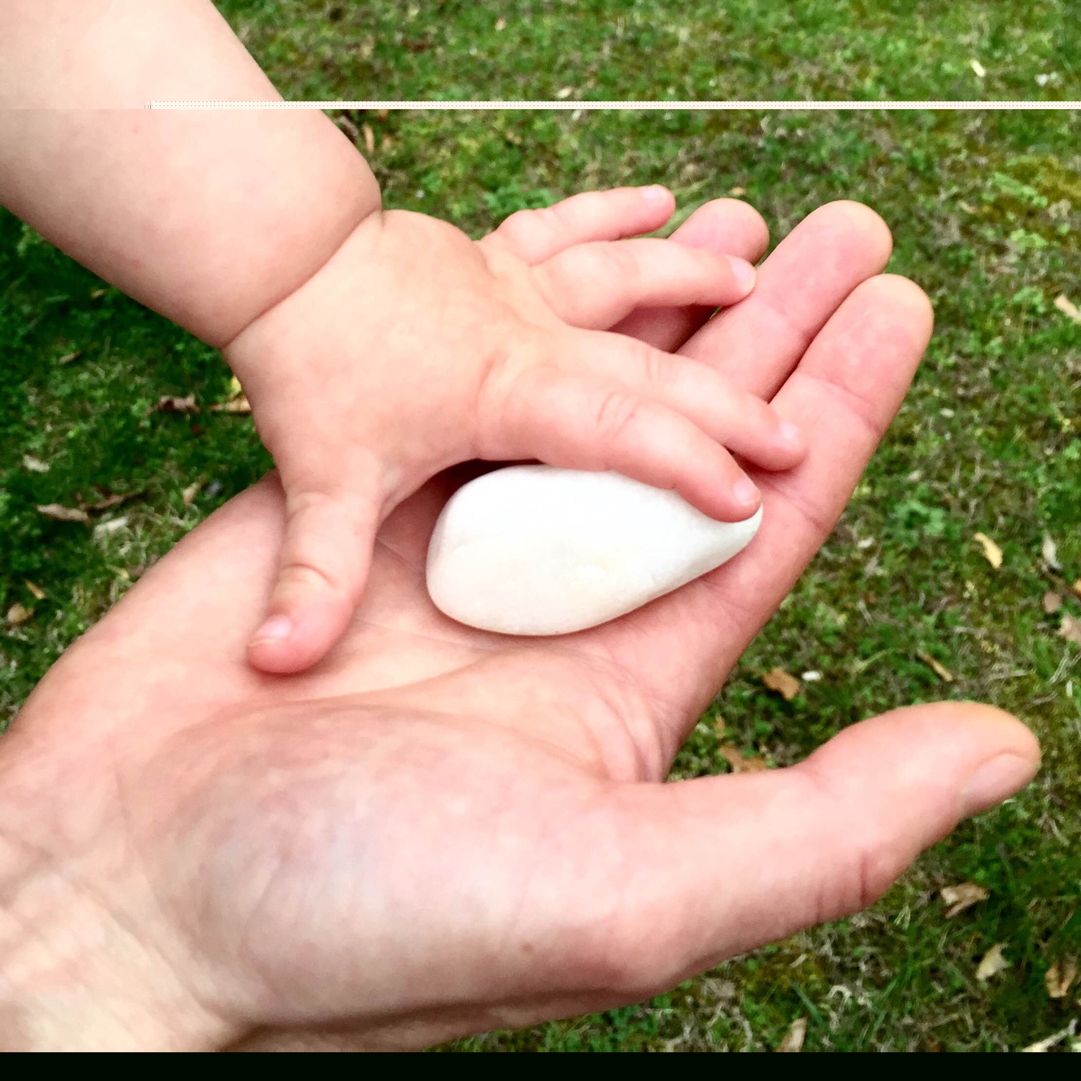 Family Practice Program