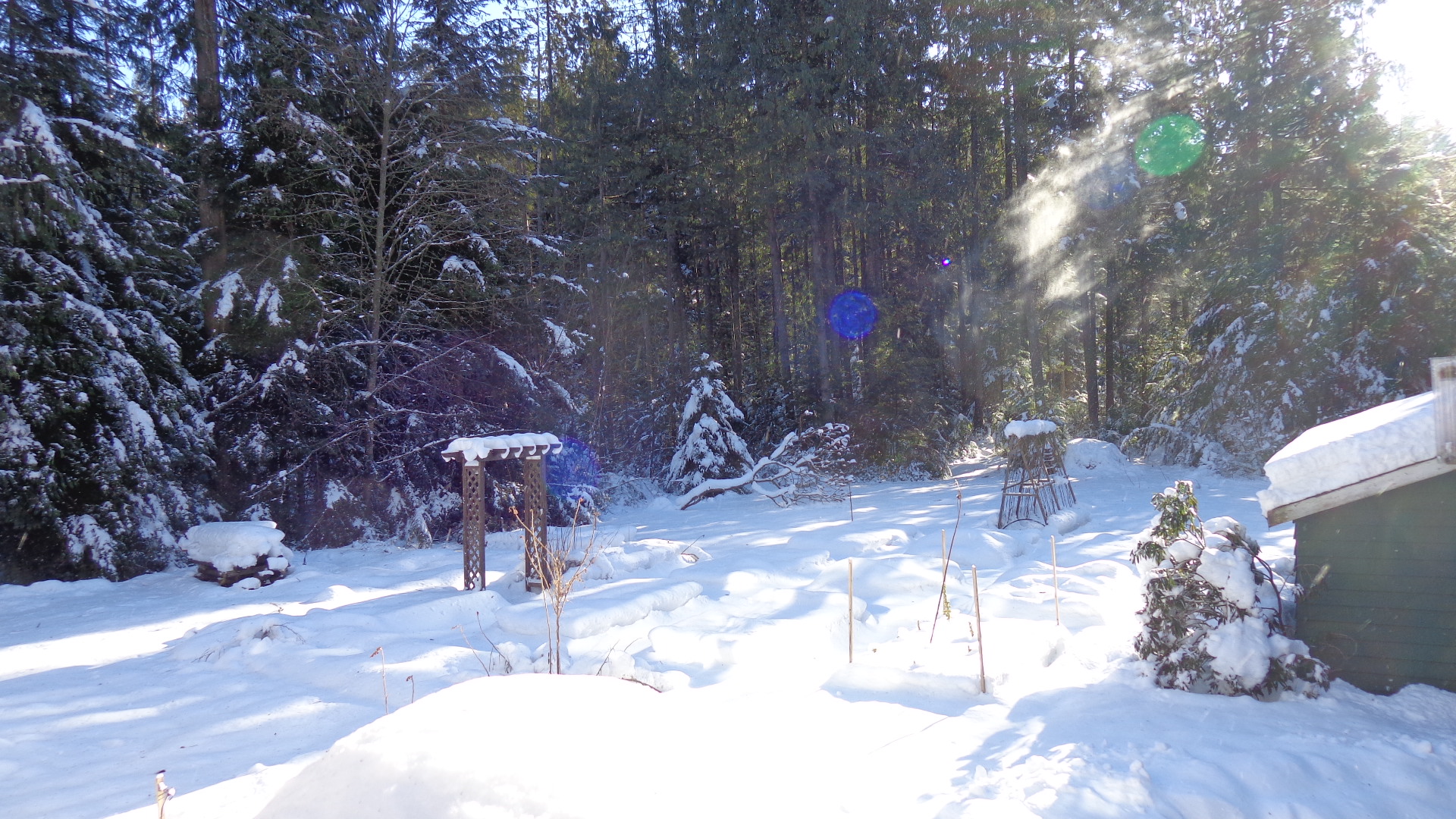 Winter garden at Blue Mountain Zendo