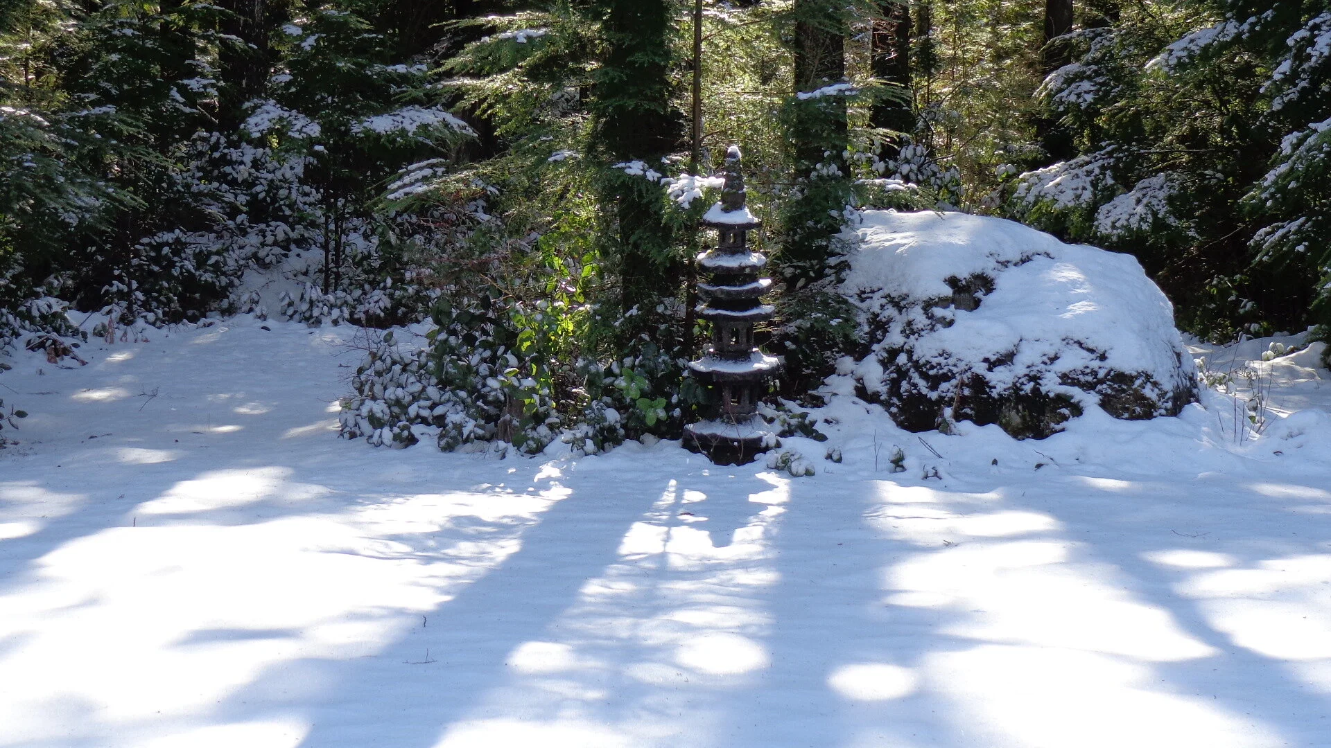 Boxing Day Brunch at Blue Mountain Zendo