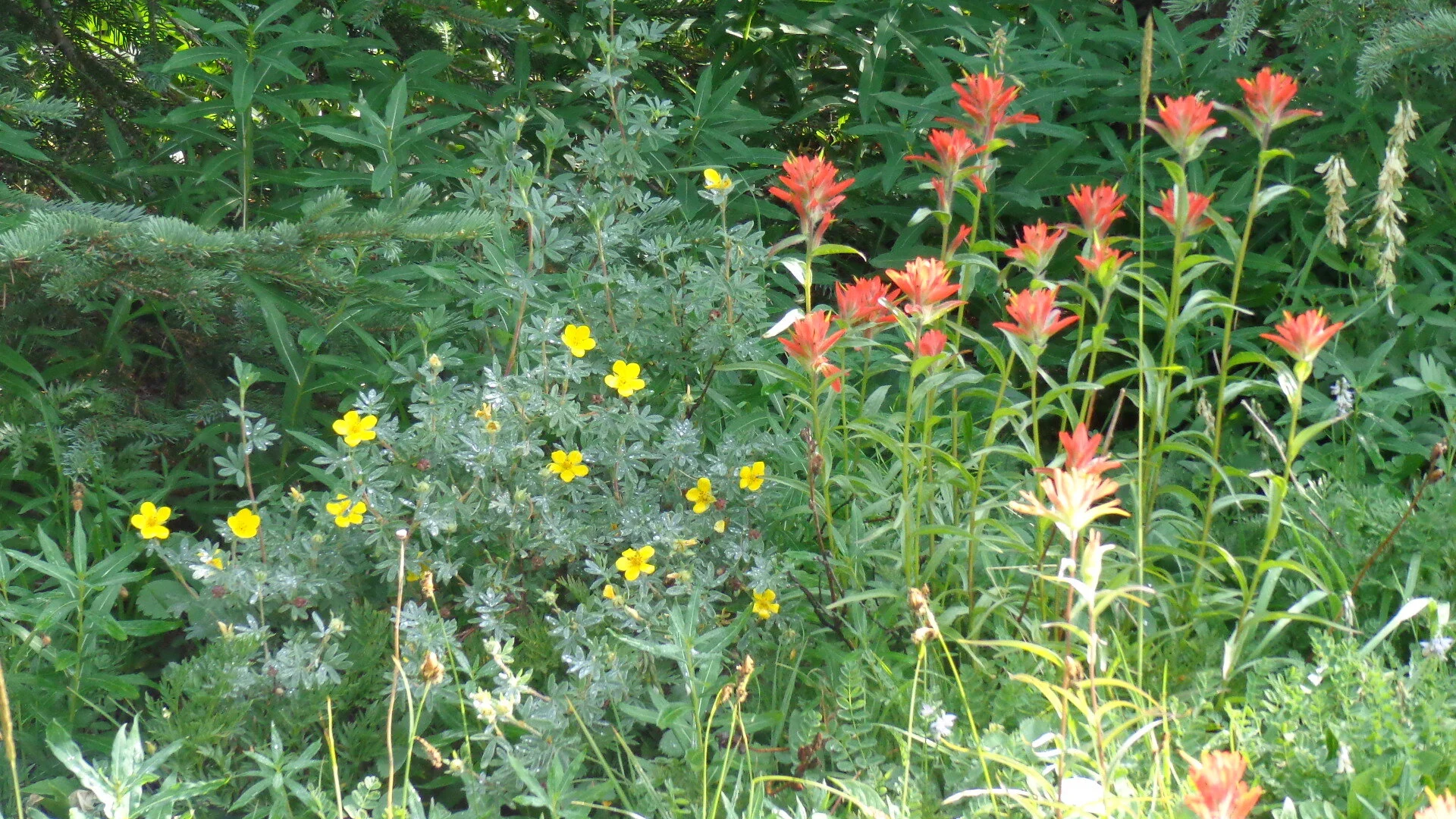 Half-day Retreat and Annual General Meeting