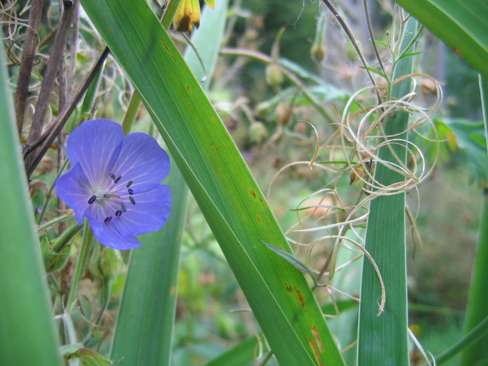 Not Elevating the Self, Not Disparaging Others