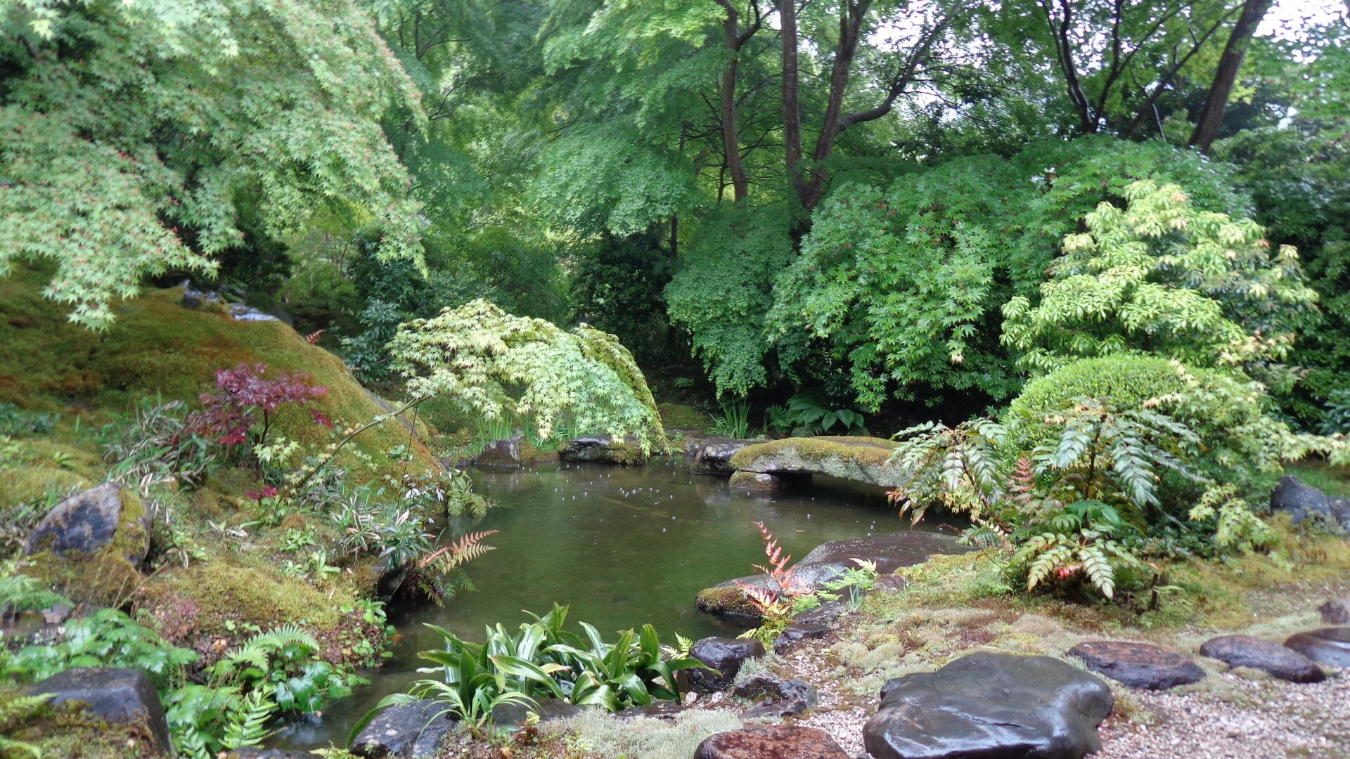 Mountains and Waters sesshin: --Tending Home Ground, an online Zen retreat 