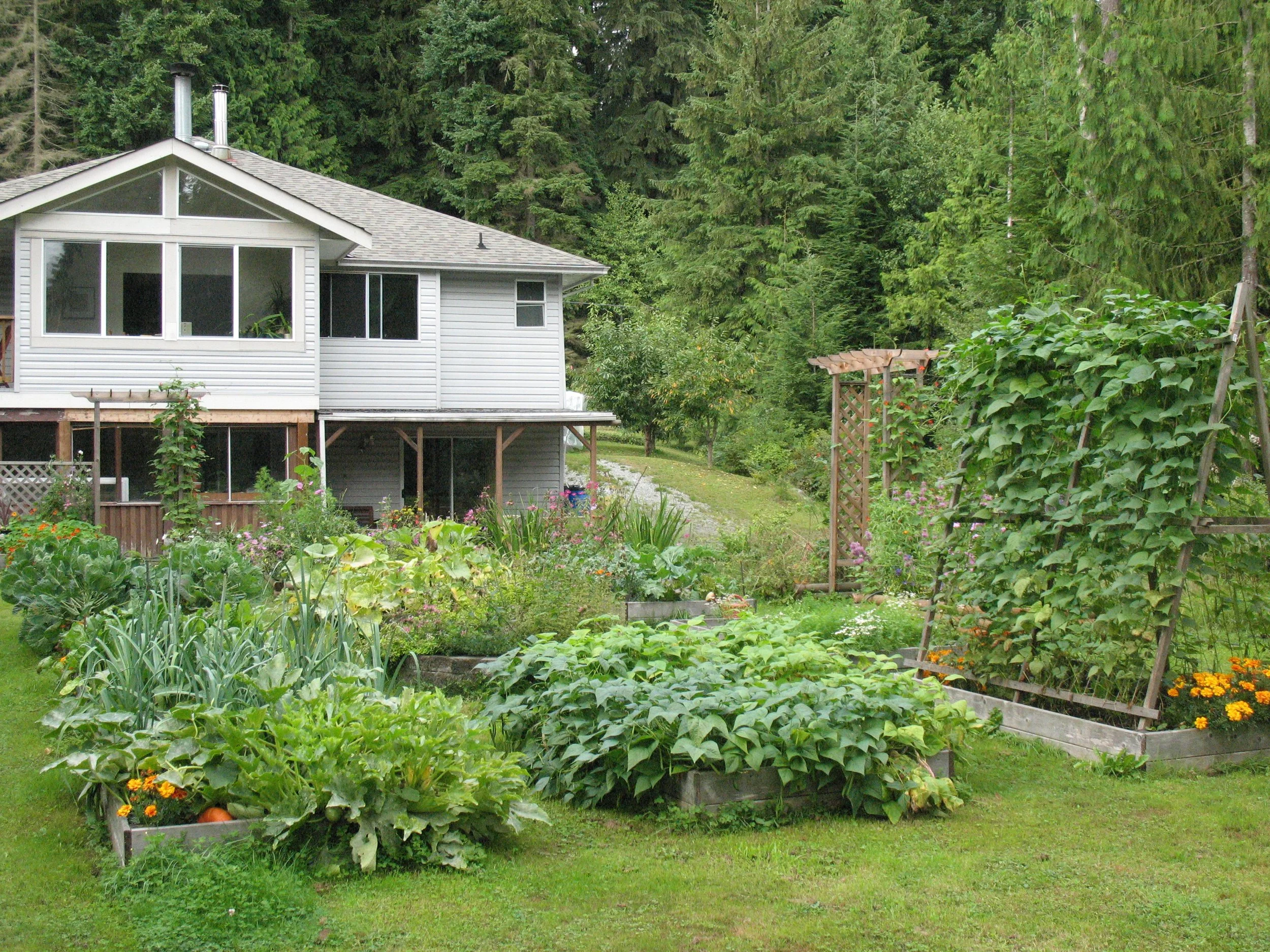 Women Living Zen: A day-retreat for women