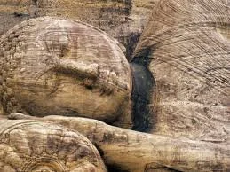 Nehan-e Ceremony (Buddha's final enlightenment)