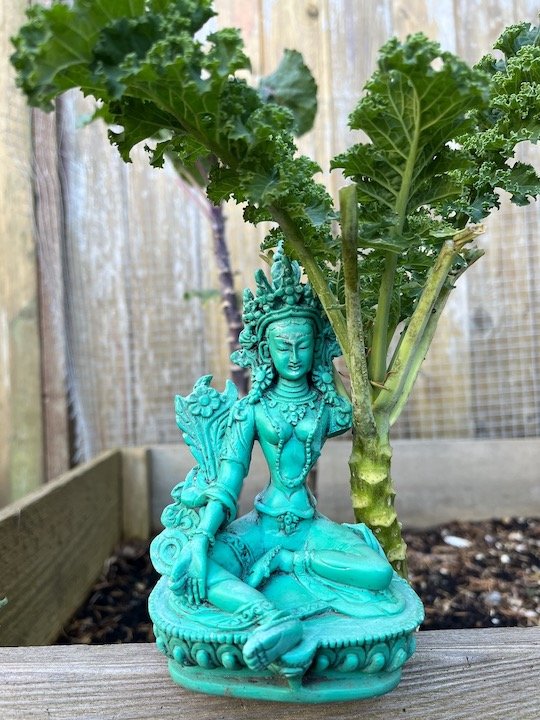 Tara and kale in the Koryuji garden