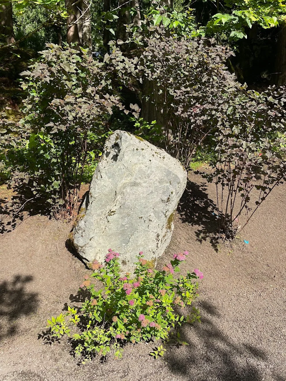 IMG_9430.jpeg